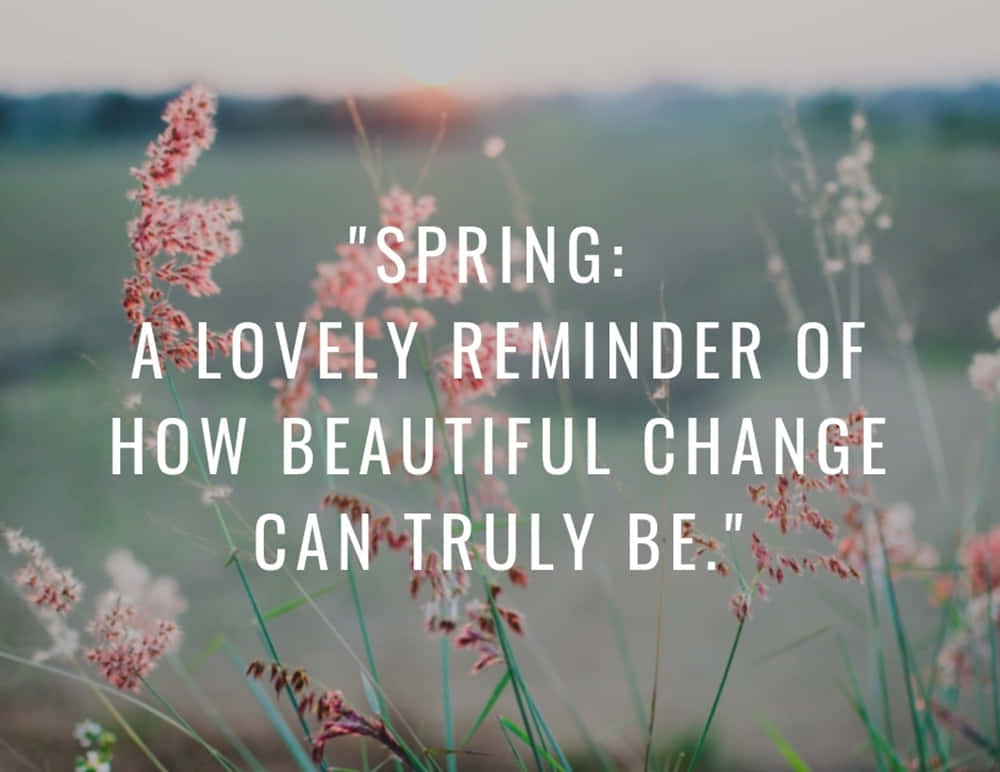 spring inspirational, blooming spring landscape, soft pink grasses, SD Desktop Wallpaper