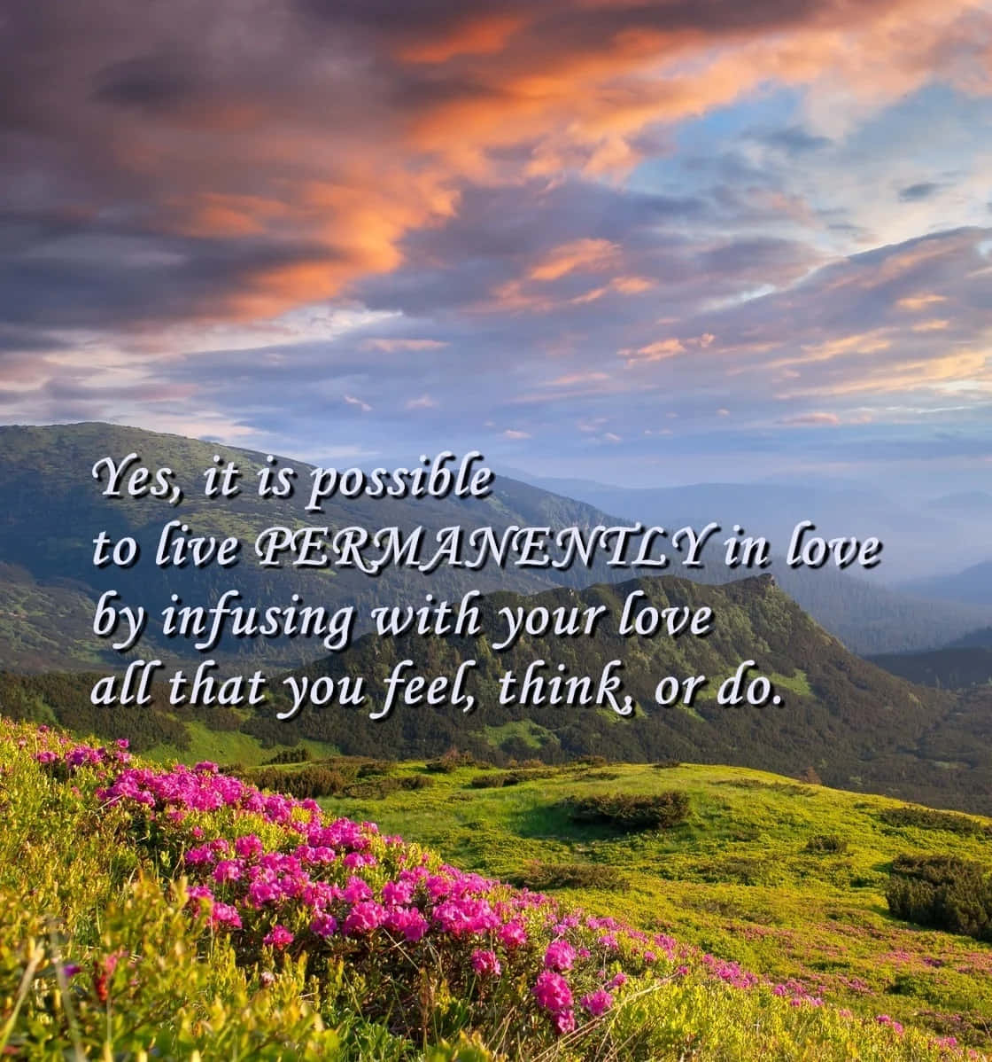 spring inspirational, vibrant pink flowers, sunlit hillside, SD Phone Wallpaper