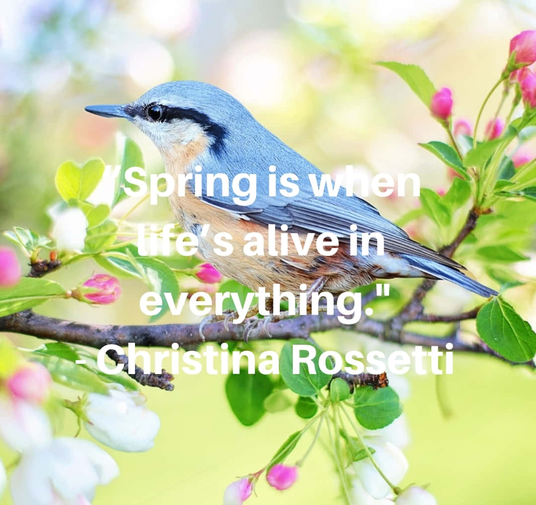 Spring Inspirational, sunrise, lake, SD Desktop Wallpaper