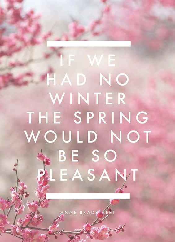 pink cherry blossoms, white inspirational quote, lush garden, SD Phone Wallpaper