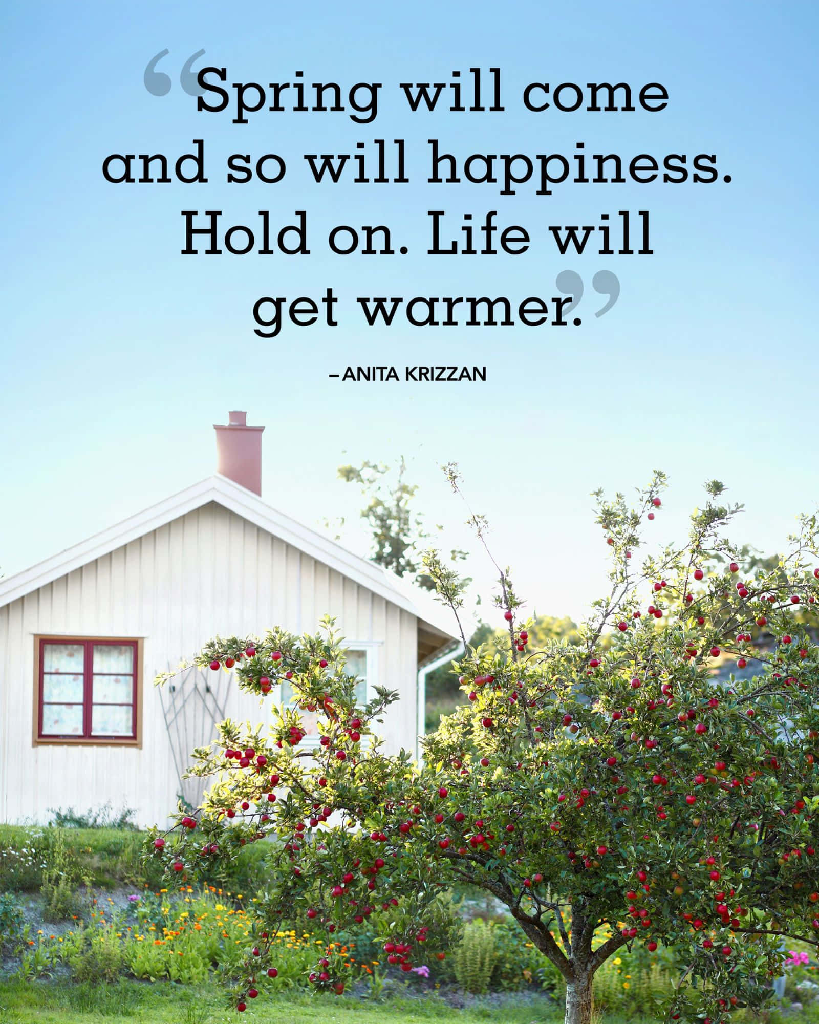 white cottage, red-trimmed windows, blossoming apple tree, Full HD Phone Wallpaper