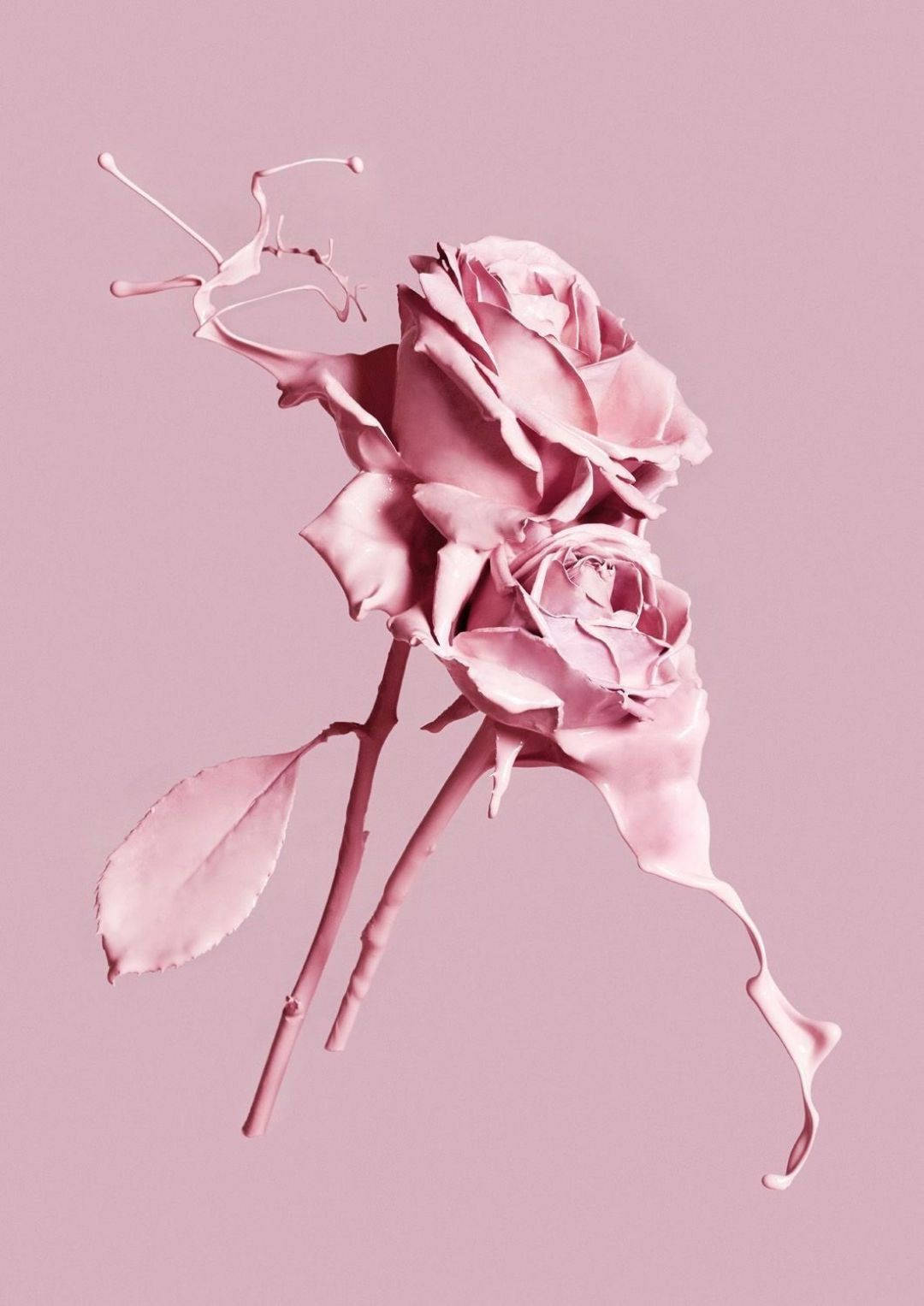 pink 3d rose, melting petals, soft pink background, HD Phone Wallpaper