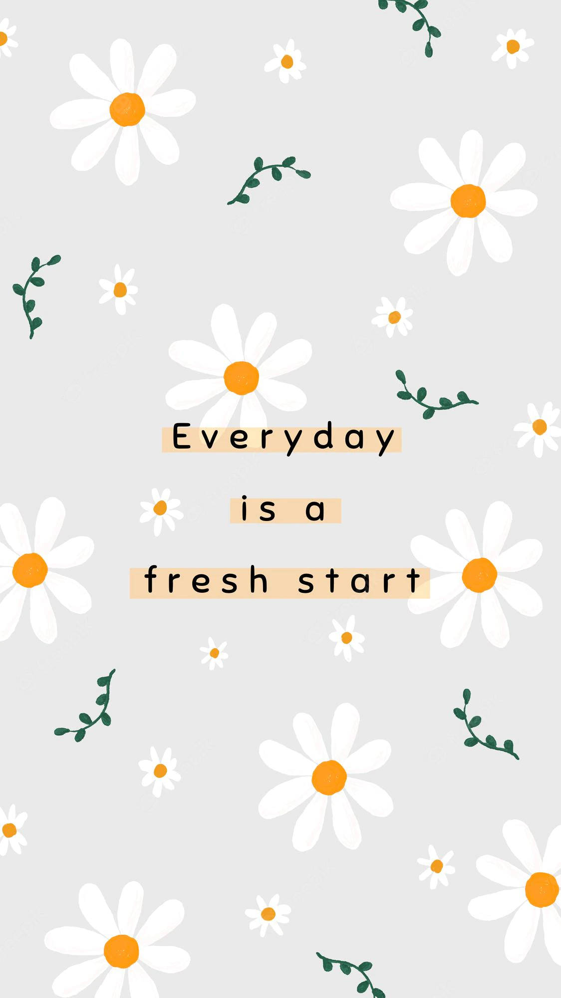 Spring iPhone, white daisies, orange centers, Full HD Phone Wallpaper