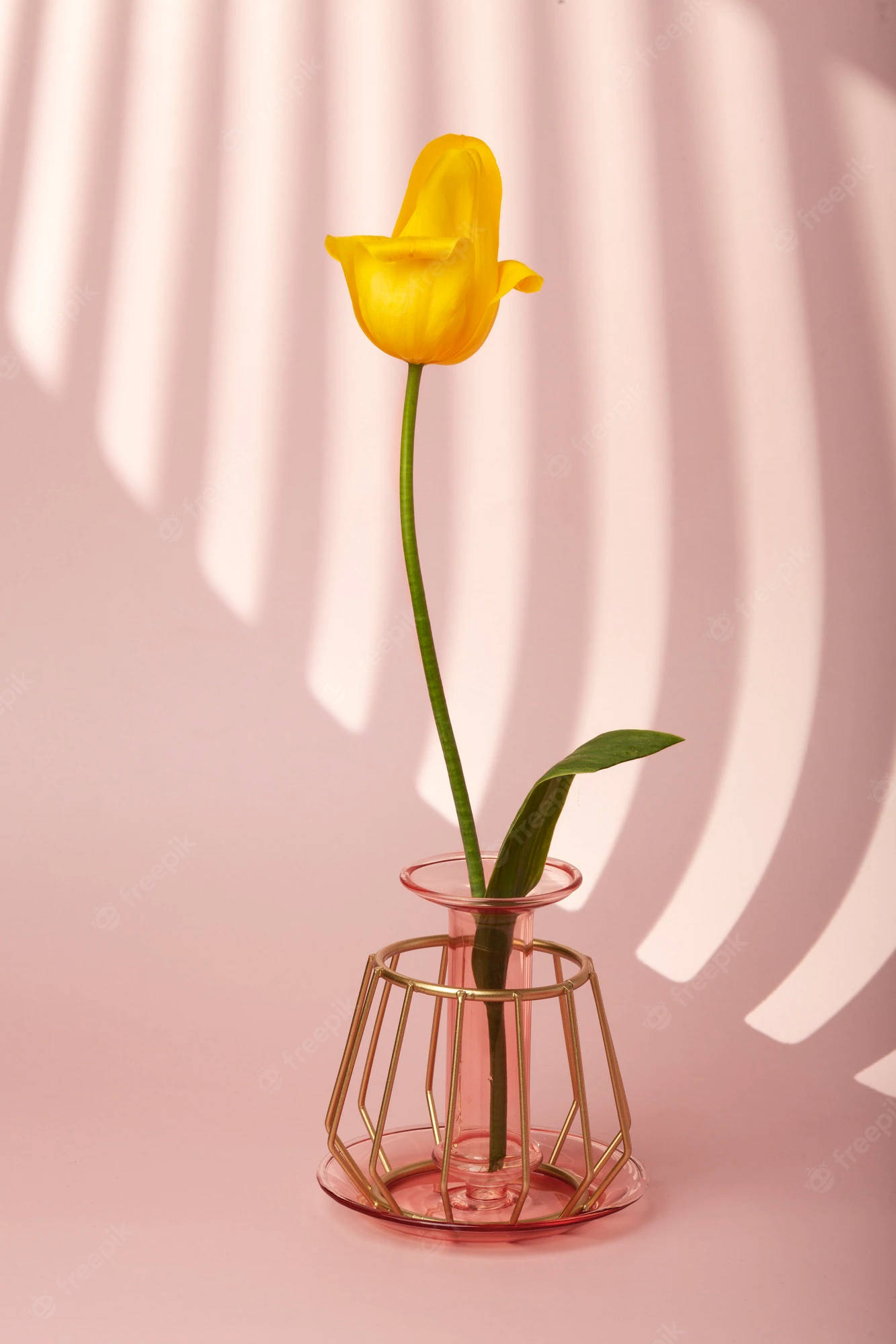 yellow tulip, geometric gold vase, pastel pink background, Full HD Phone Wallpaper