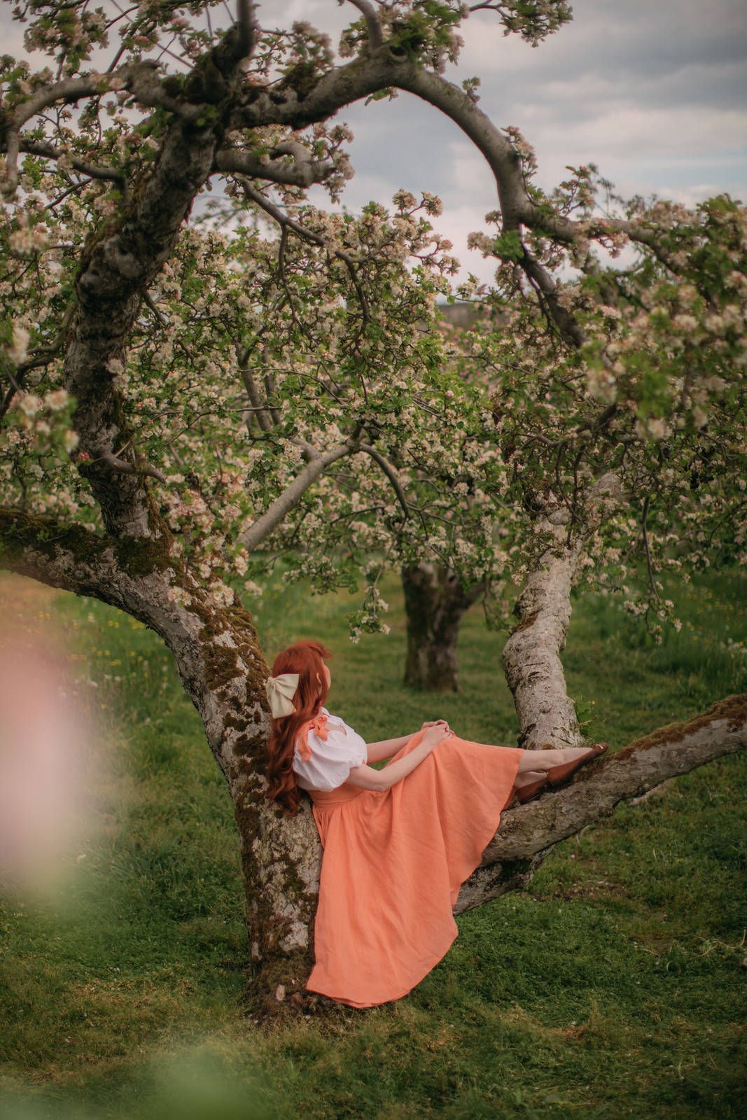 girl, tree, peach dress, HD Phone Wallpaper