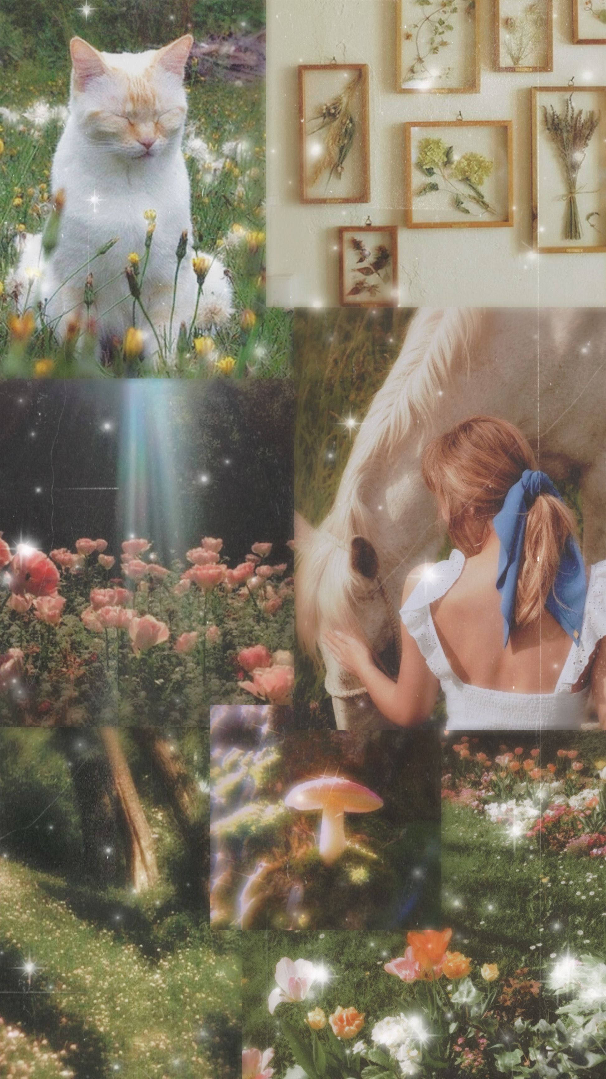 cottagecore, collage, cat in flowers, 2K Phone Wallpaper