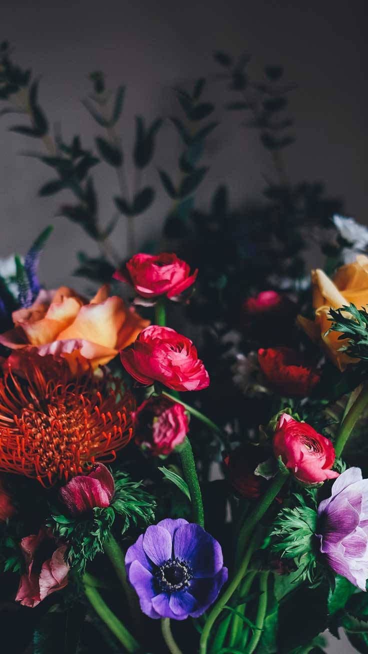 flower arrangement, red ranunculus, purple anemones, HD Phone Wallpaper
