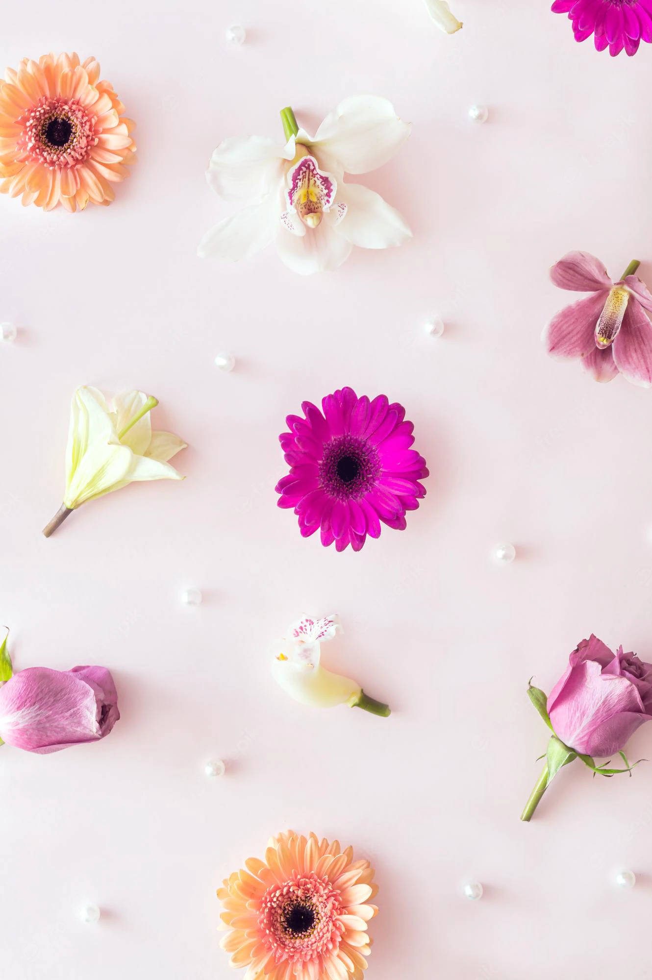 Spring iPhone, pink flowers, flat lay, Full HD Phone Wallpaper