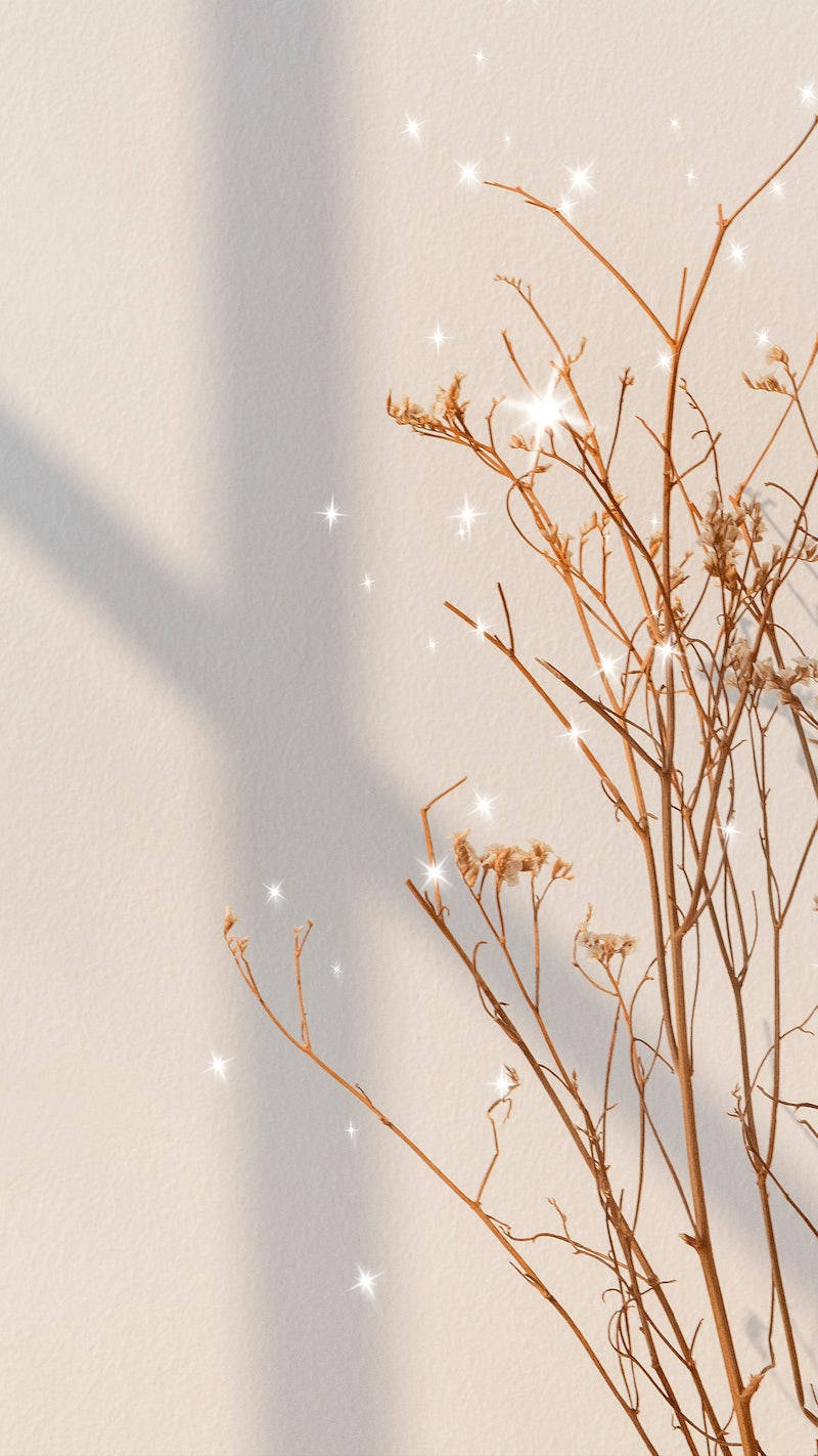 Baby's Breath, Spring iPhone, pale beige wall, HD Phone Wallpaper