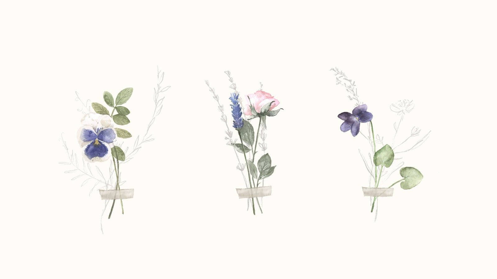 flower watercolors, violet, rose, HD Desktop Wallpaper