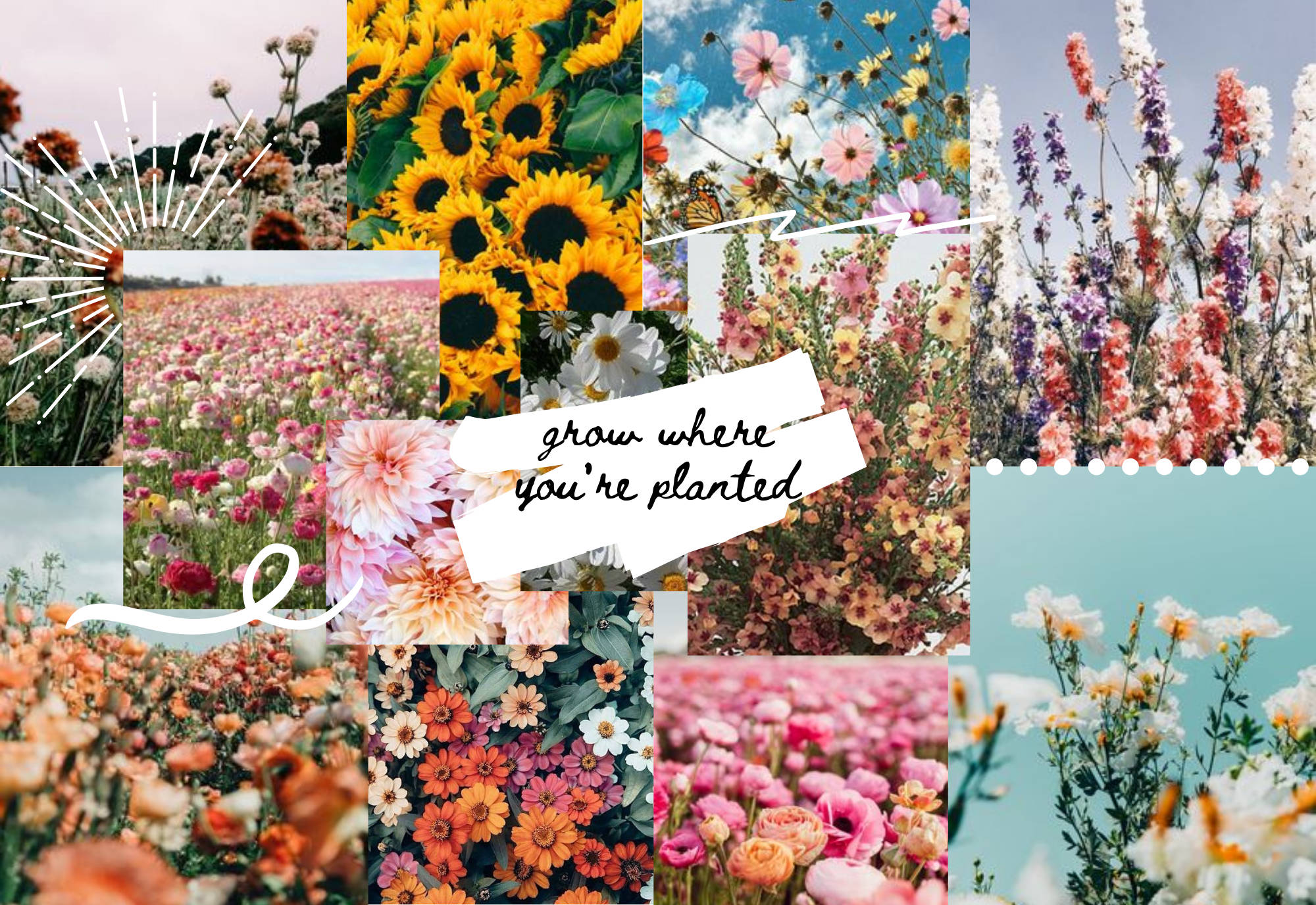 Aesthetic Spring, iPhone, sunflowers, Full HD Desktop Wallpaper
