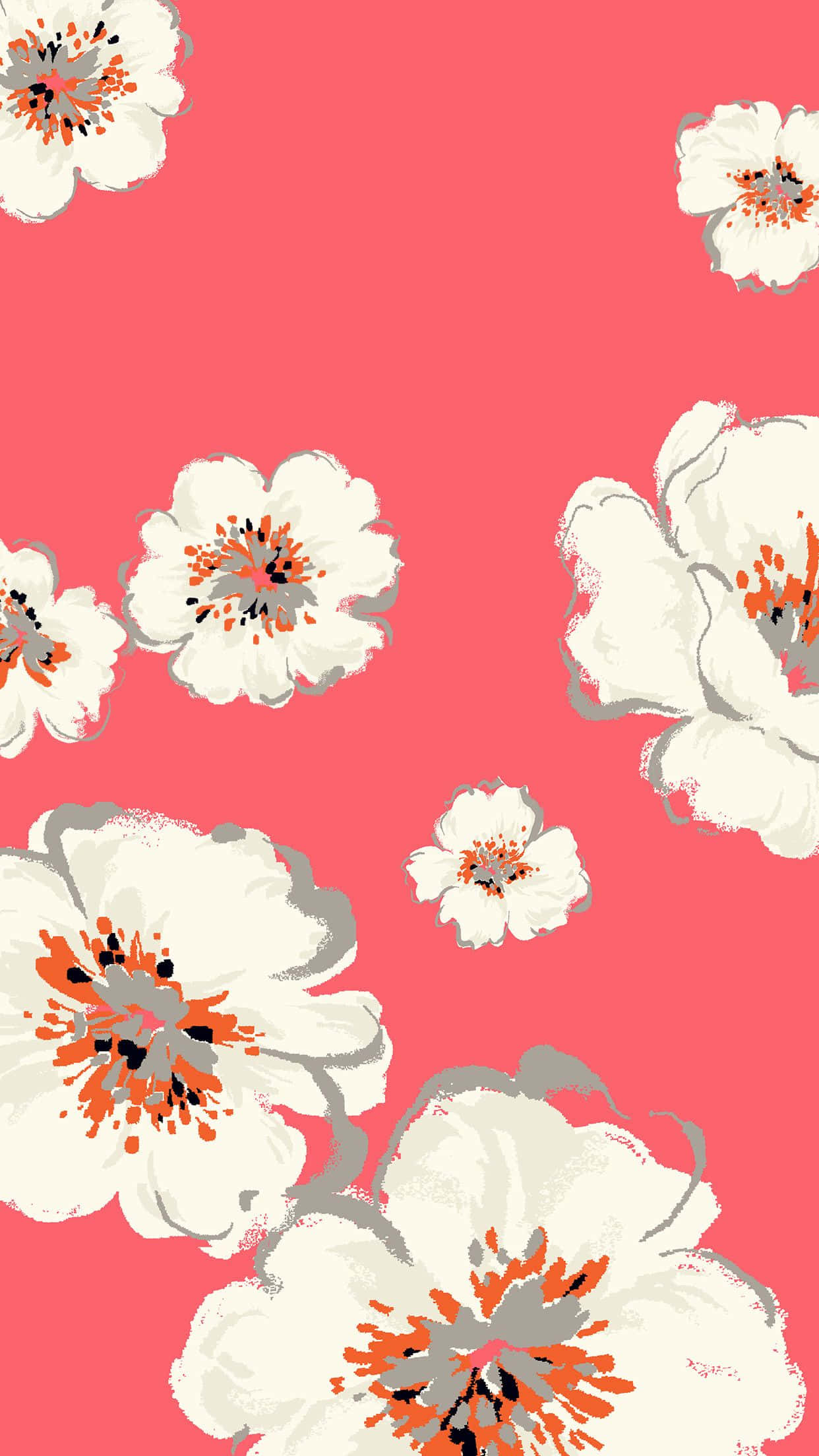 cute spring iphone, white flowers, orange and gray centers, Full HD Phone Wallpaper