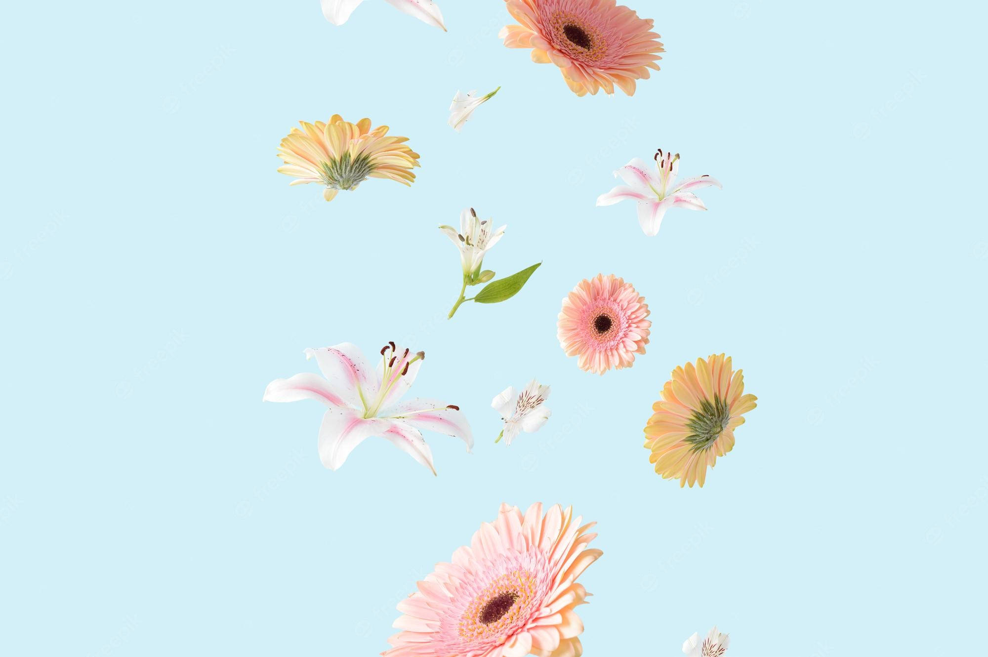 Aesthetic Spring, iPhone Theme, pastel-colored flowers, Full HD Desktop Wallpaper