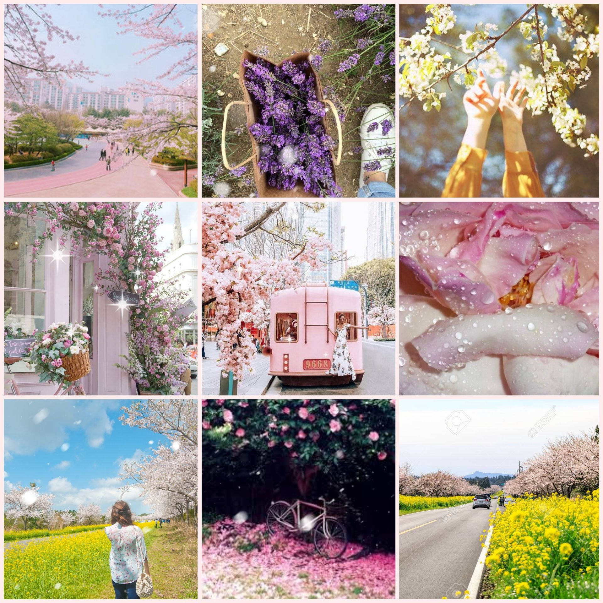 Aesthetic Spring, iPhone Lock Screen, cherry blossoms, Full HD Desktop Wallpaper