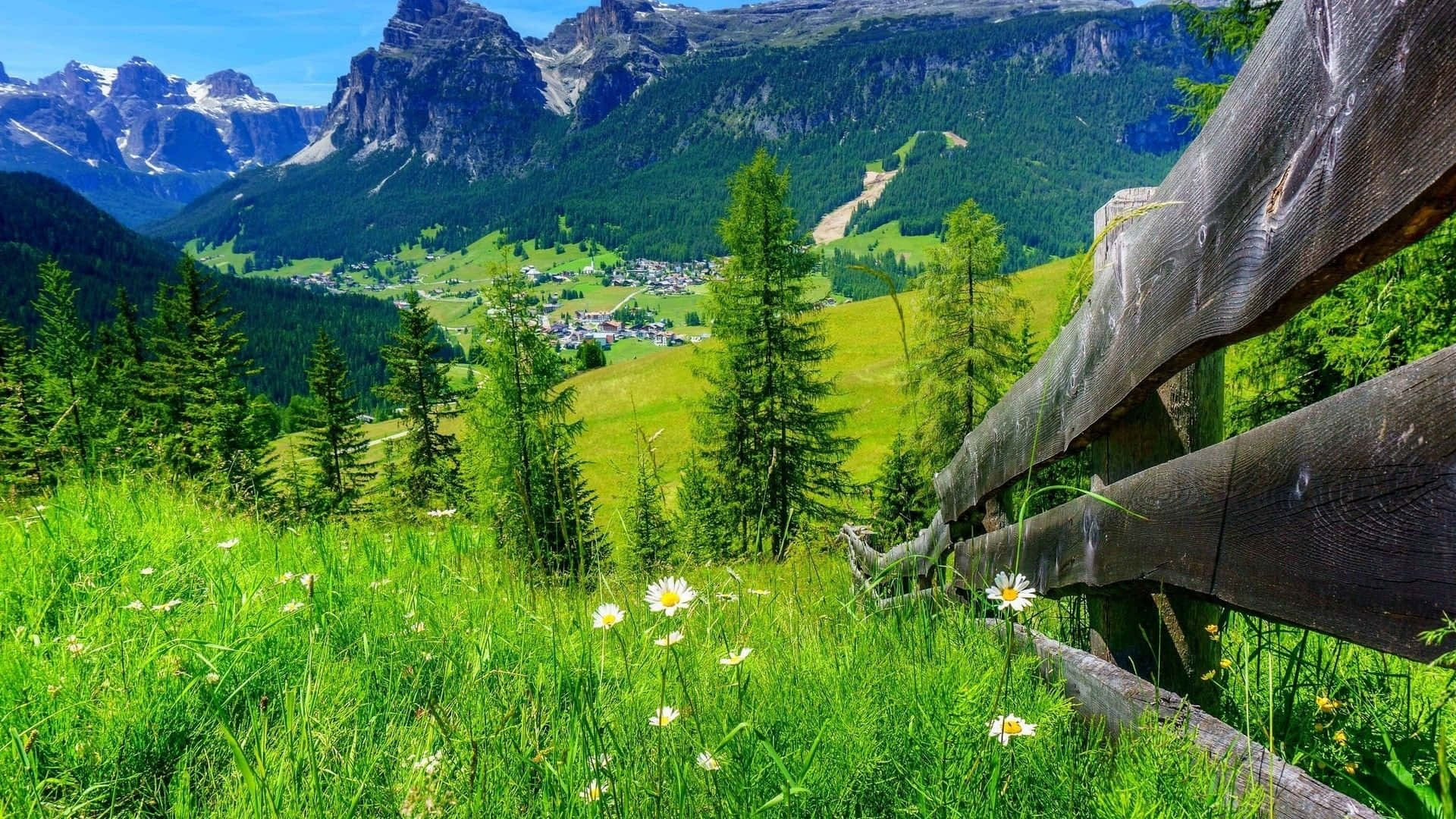 Spring Landscape, wooden fence, vibrant green meadow, Full HD Desktop Wallpaper