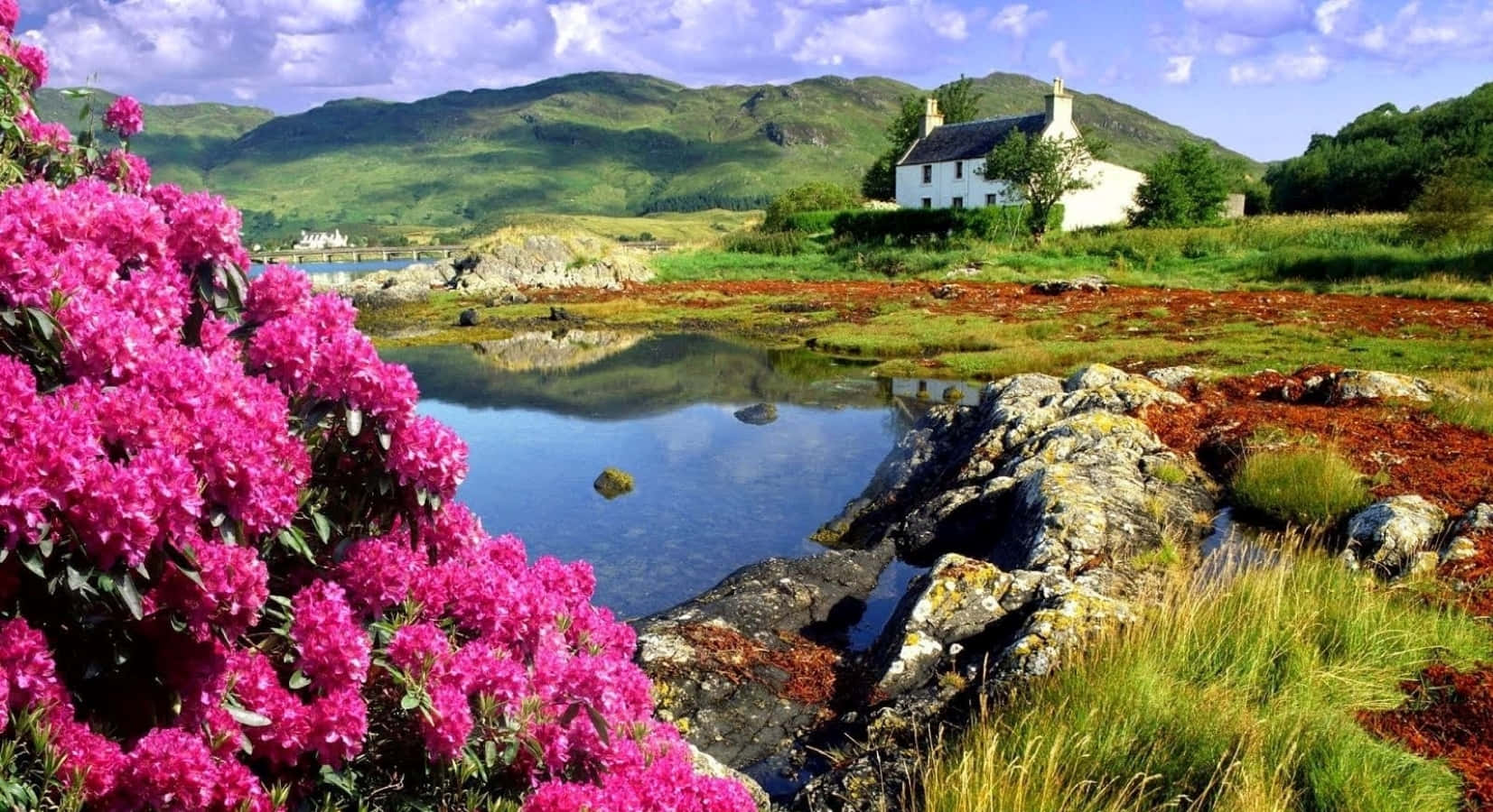 pink rhododendrons, calm pond, white cottage, HD Desktop Wallpaper