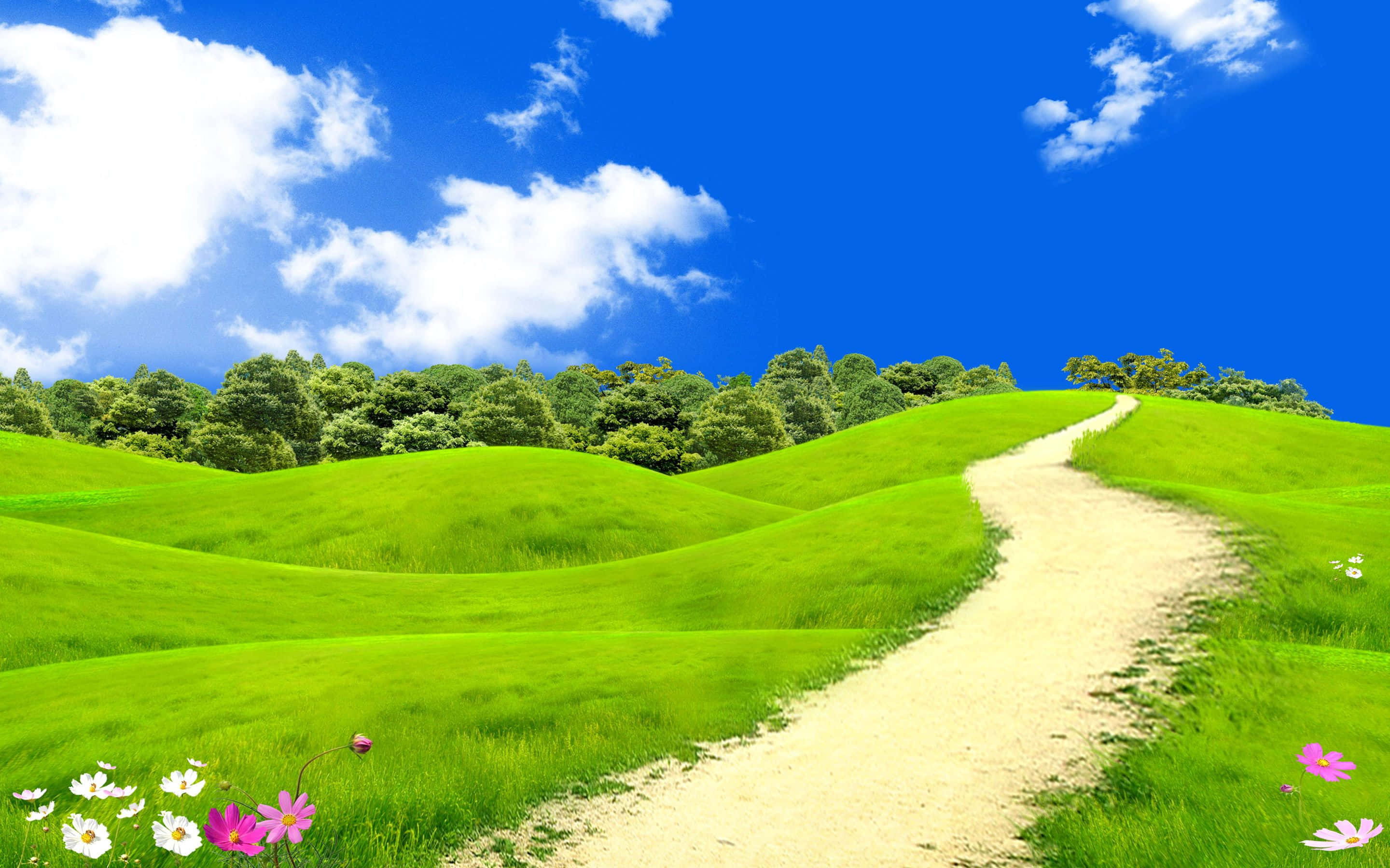 spring landscape, winding dirt path, vibrant green rolling hills, 2K Desktop Wallpaper