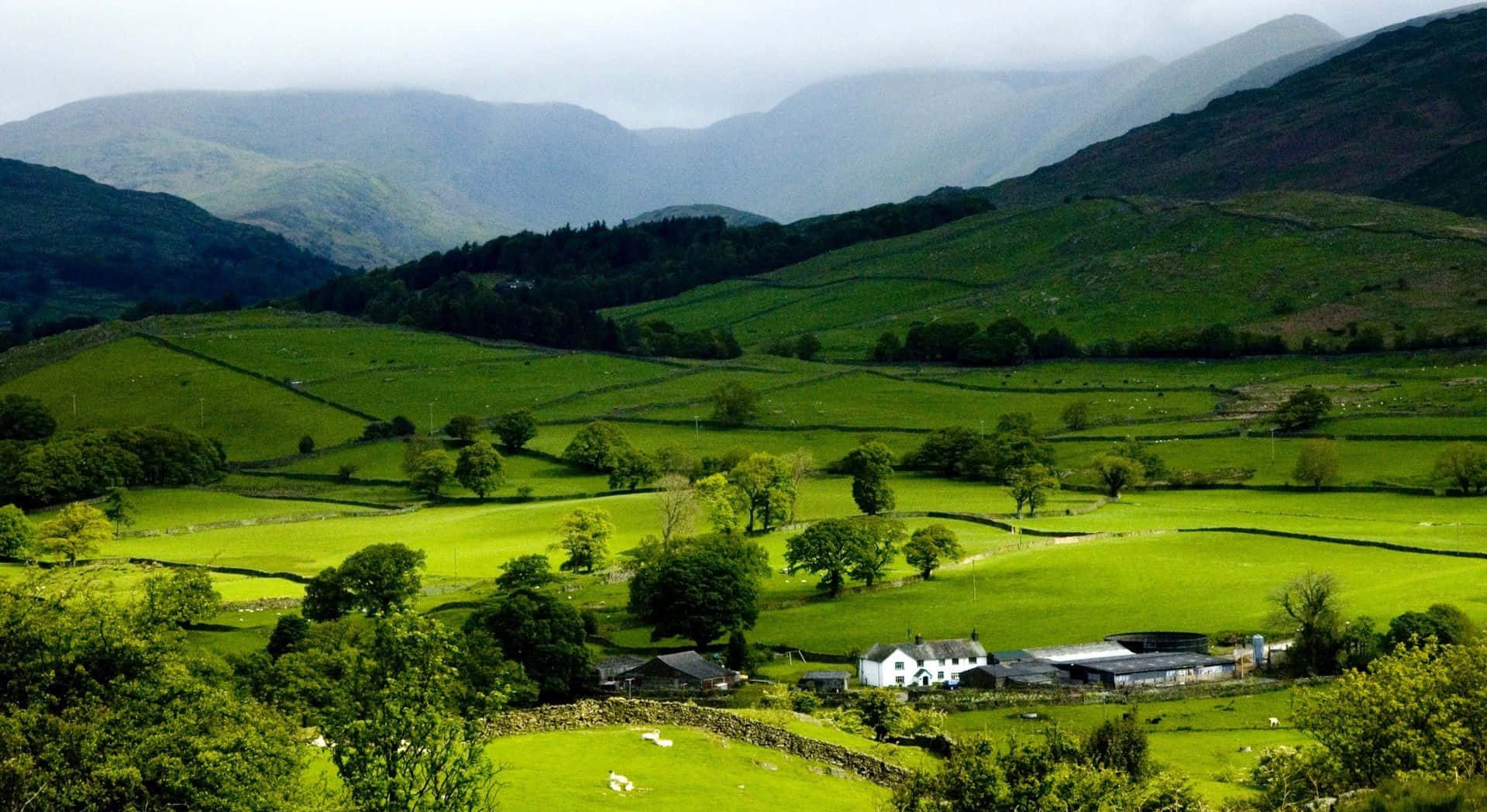 Spring Landscape, rolling green hills, stone walls, HD Desktop Wallpaper