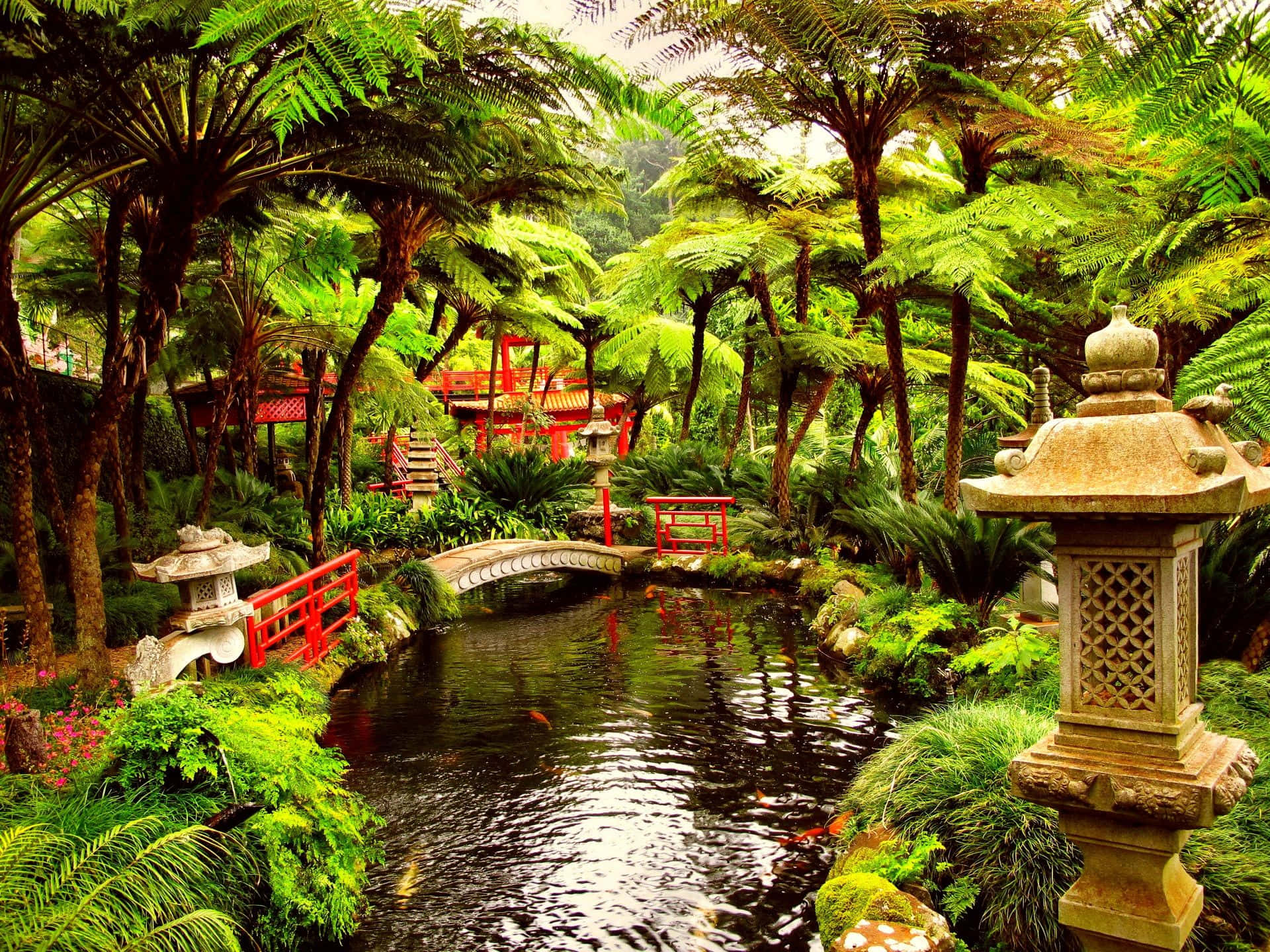 Japanese garden, stone lantern, red bridges, Full HD Desktop Wallpaper