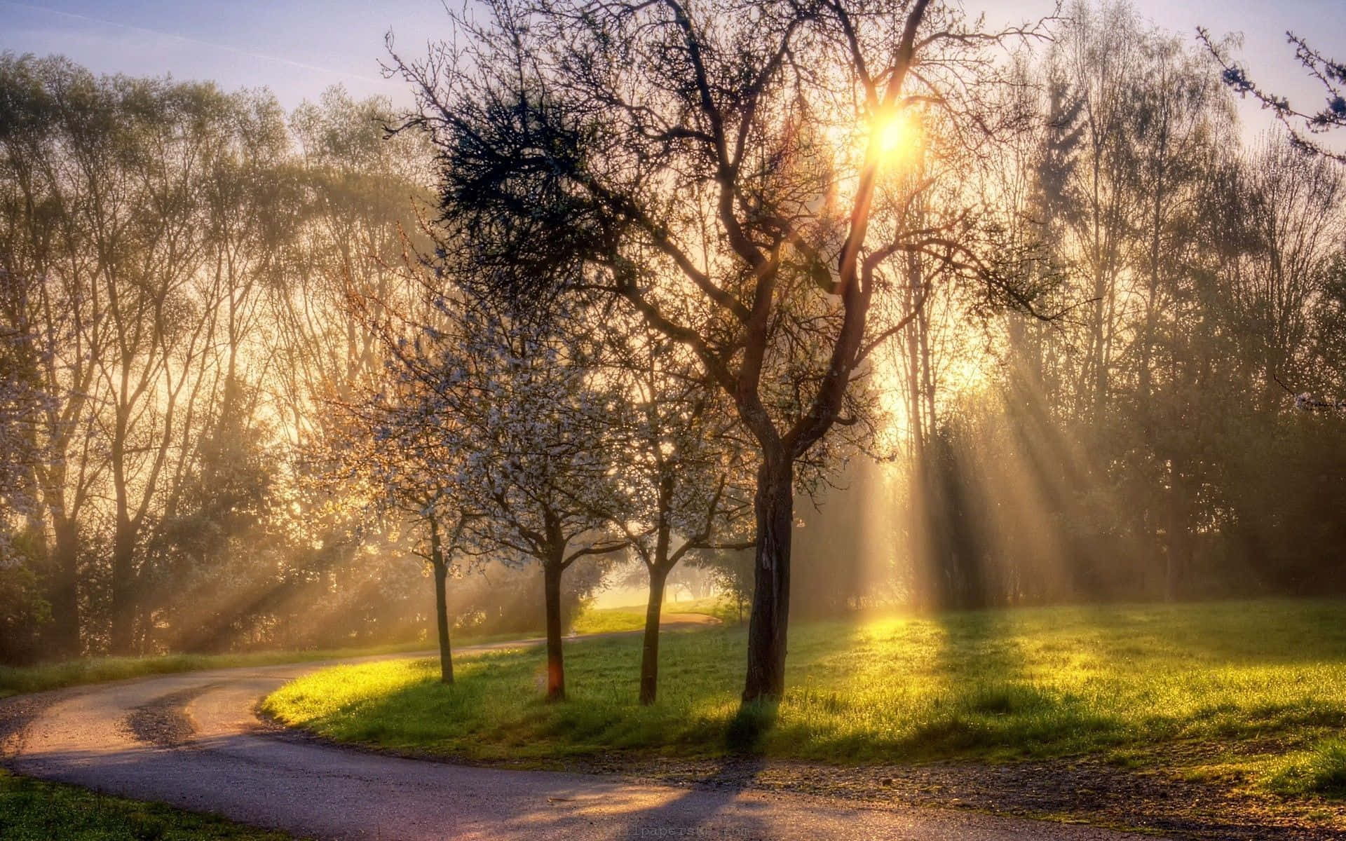 Spring Landscape, dawn, golden rays, Full HD Desktop Wallpaper