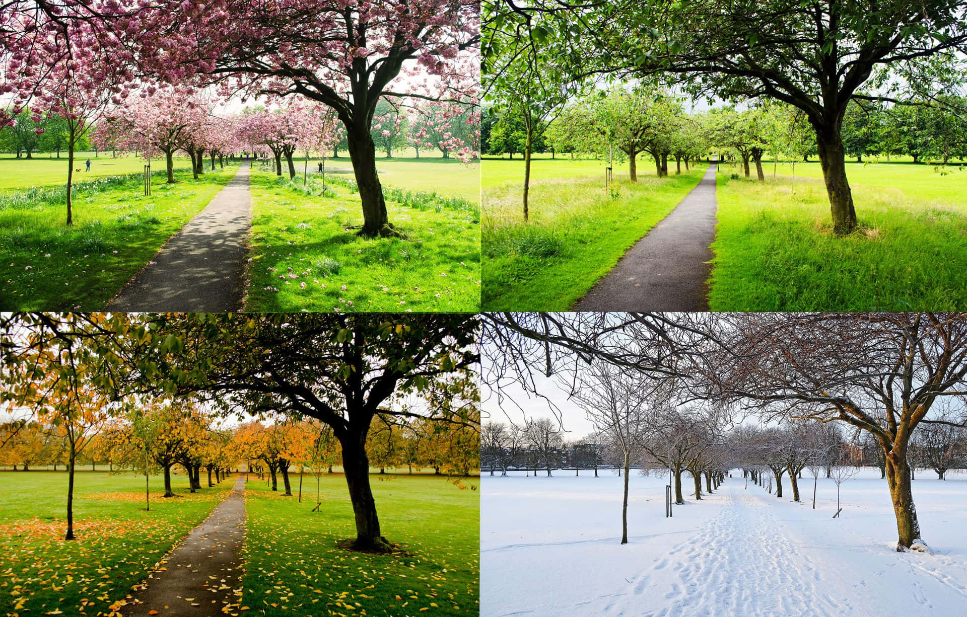 spring, summer, autumn, Full HD Desktop Wallpaper