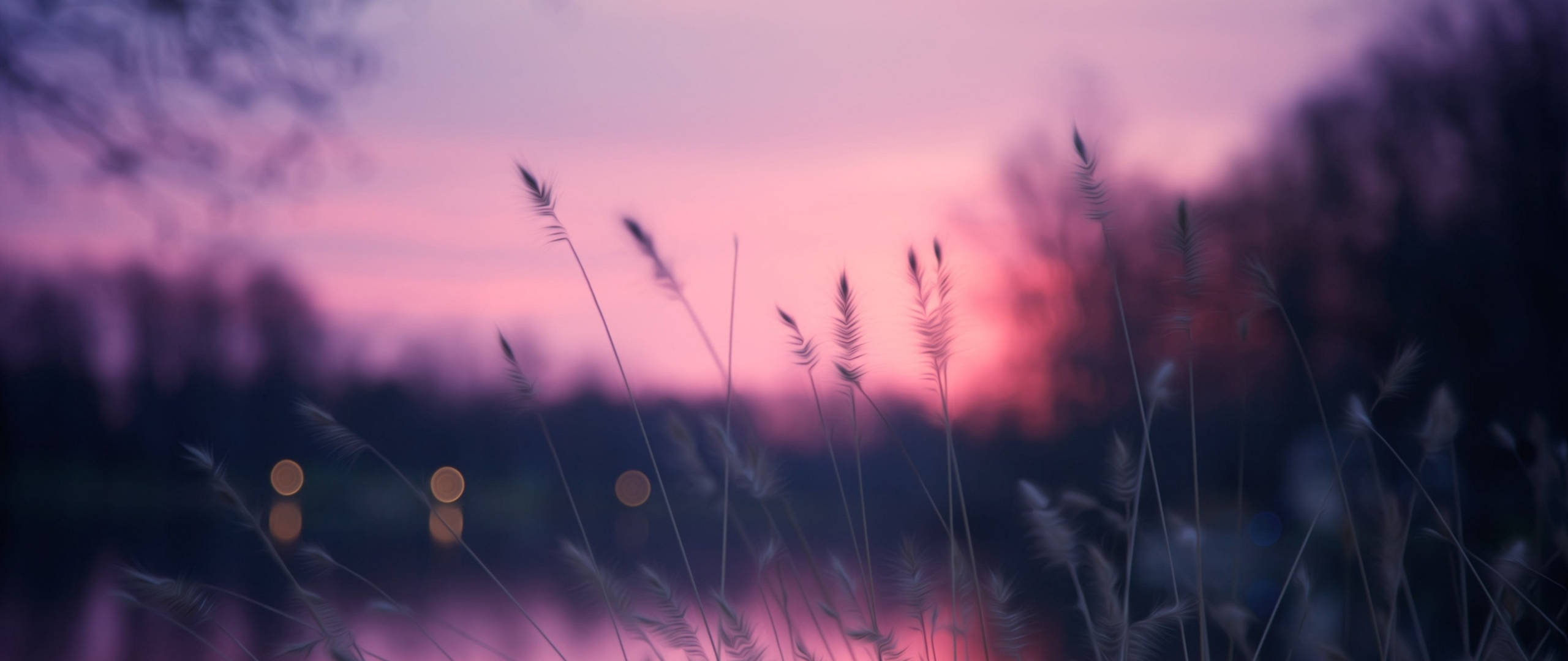 grass, sunset sky, twilight sky, 2K Desktop Wallpaper