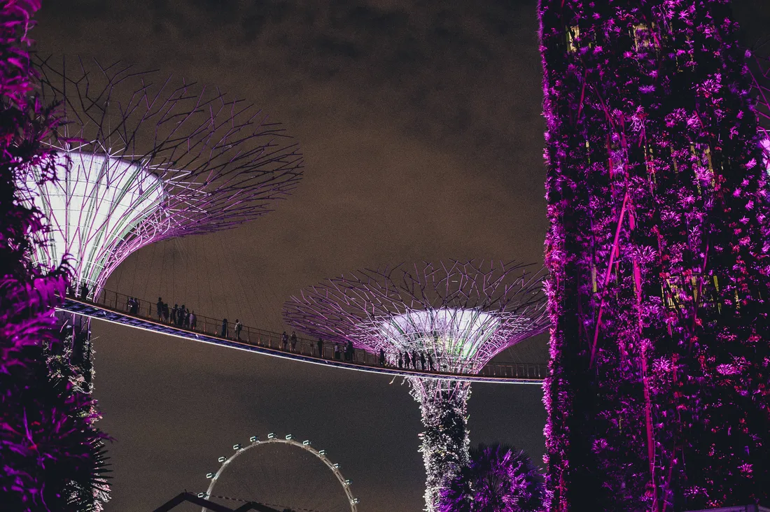 Spring Lights