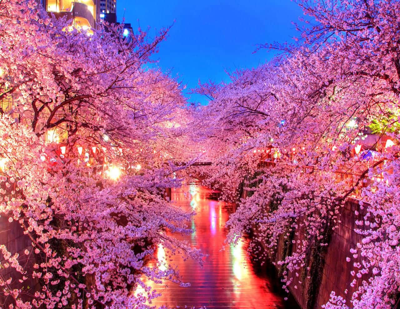 Spring Lights, lakeside, twilight canal, HD Desktop Wallpaper
