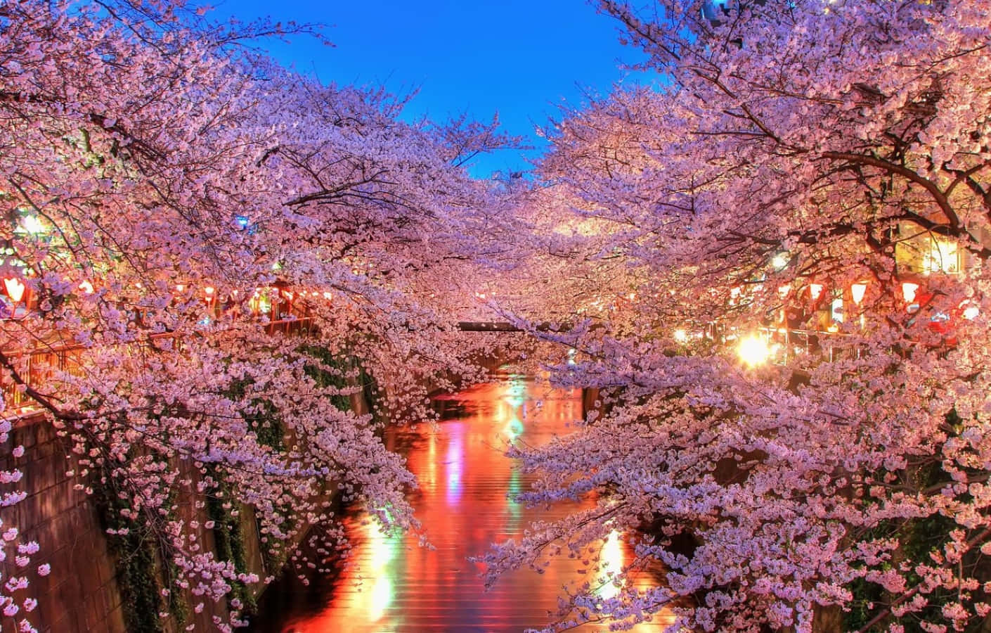 Spring Lights, cherry blossoms, canal, HD Desktop Wallpaper