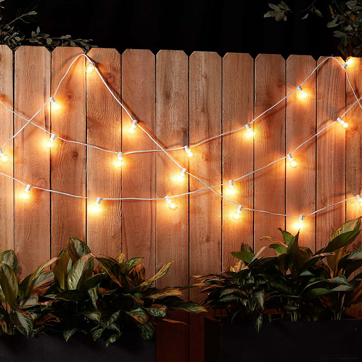 Spring Lights, warm string lights, wooden fence, HD Desktop Wallpaper