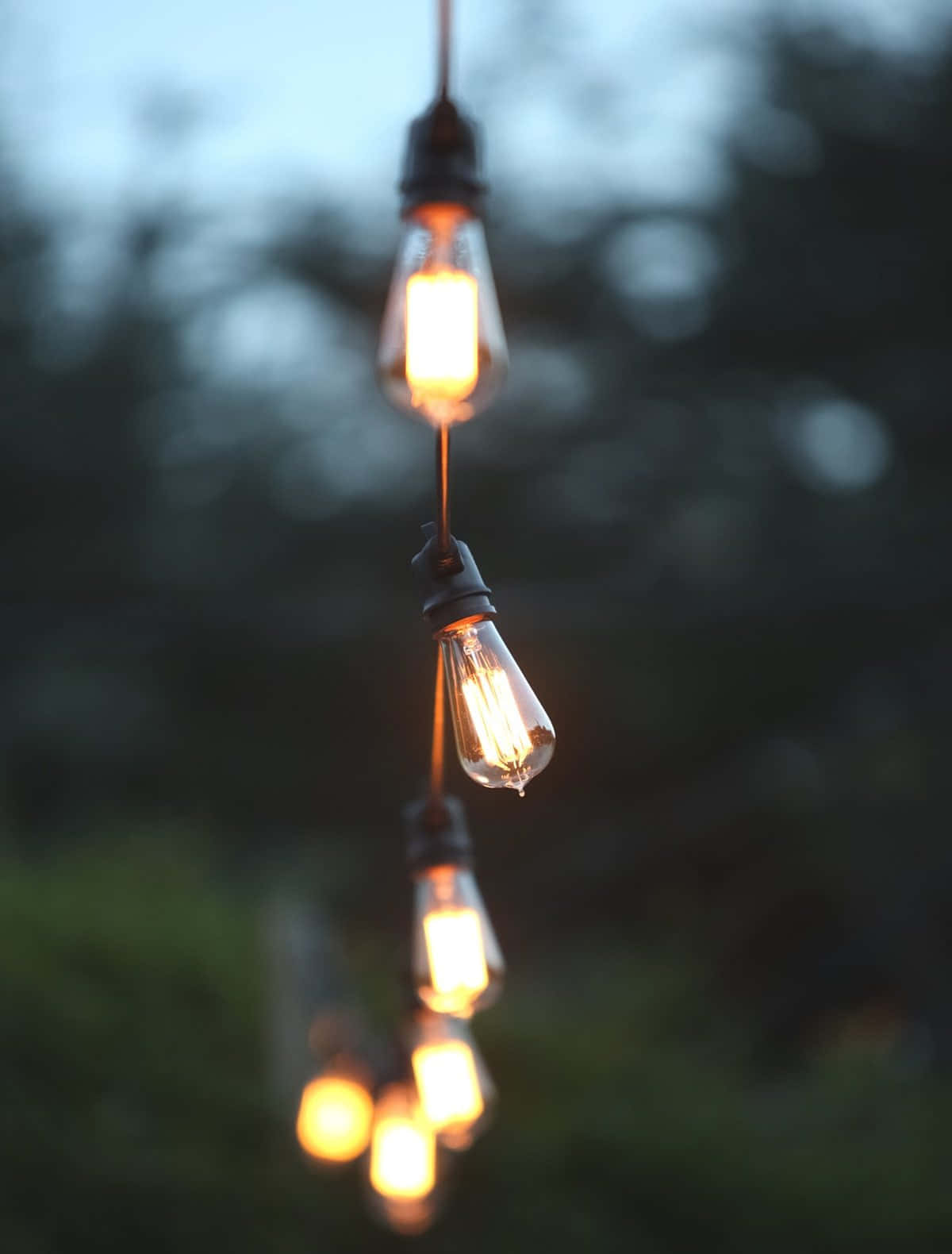 Spring Lights, vintage Edison bulbs, twilight garden, HD Phone Wallpaper