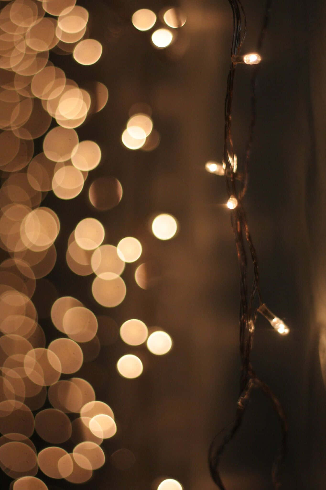 Spring Lights, string lights, forest path, Full HD Phone Wallpaper