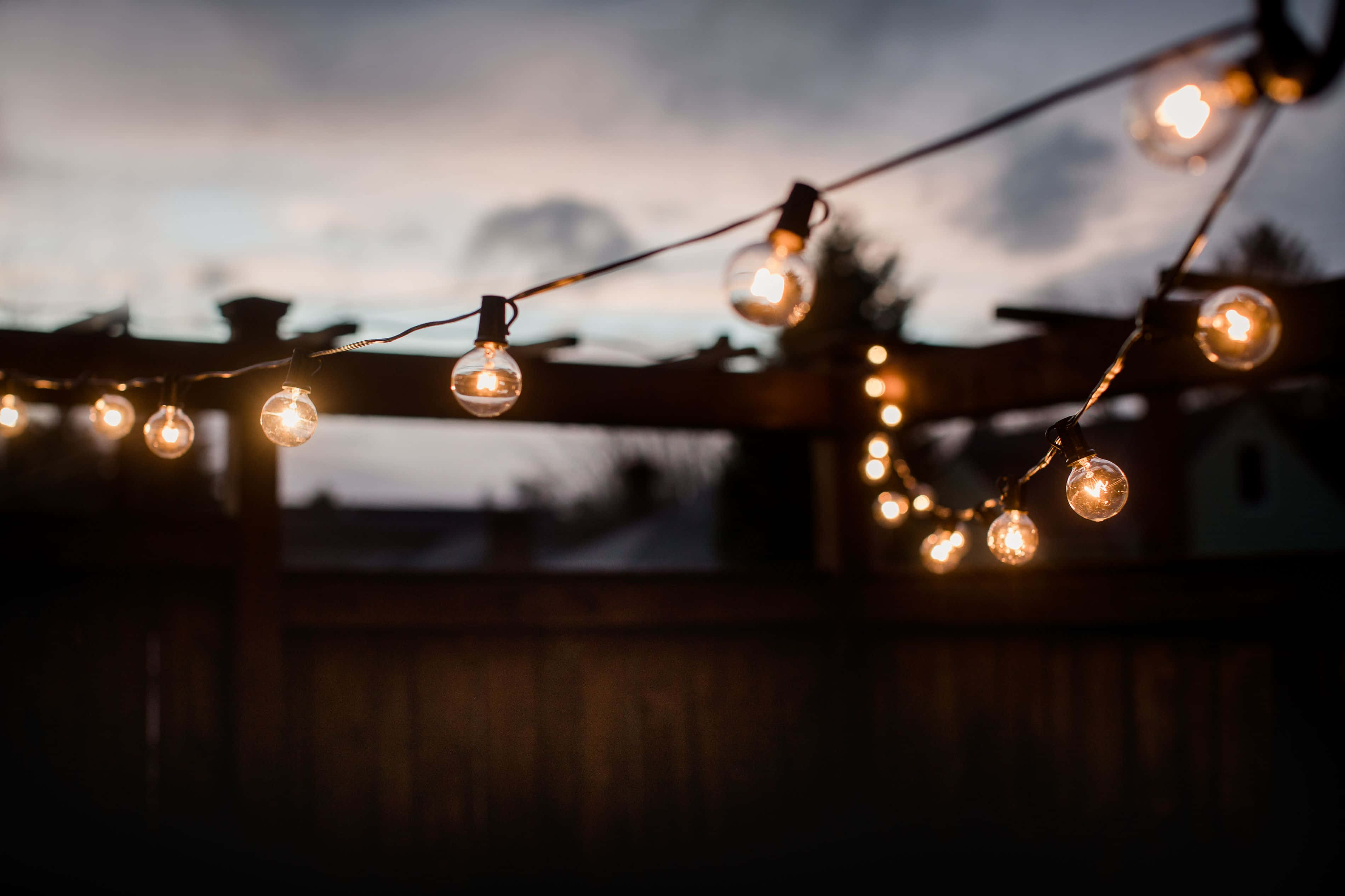Spring Lights, string lights, dusky twilight sky, 2K Desktop Wallpaper