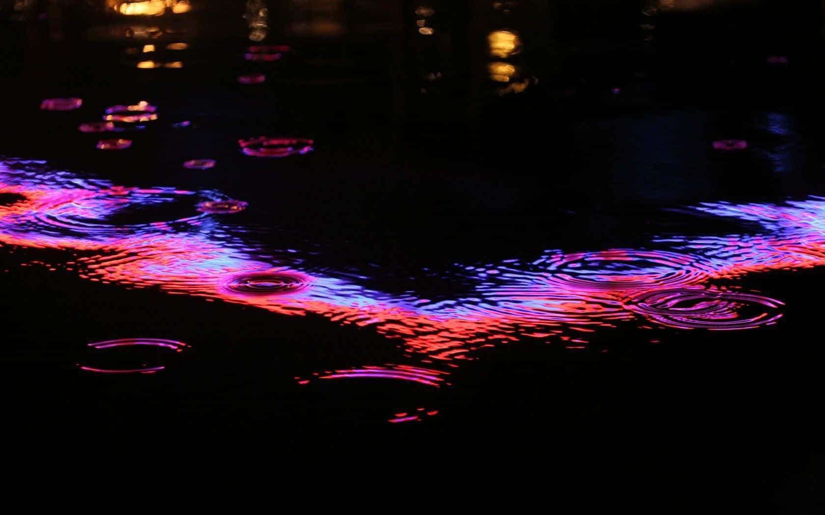 neon pink, purple light, dark wet surface, HD Desktop Wallpaper