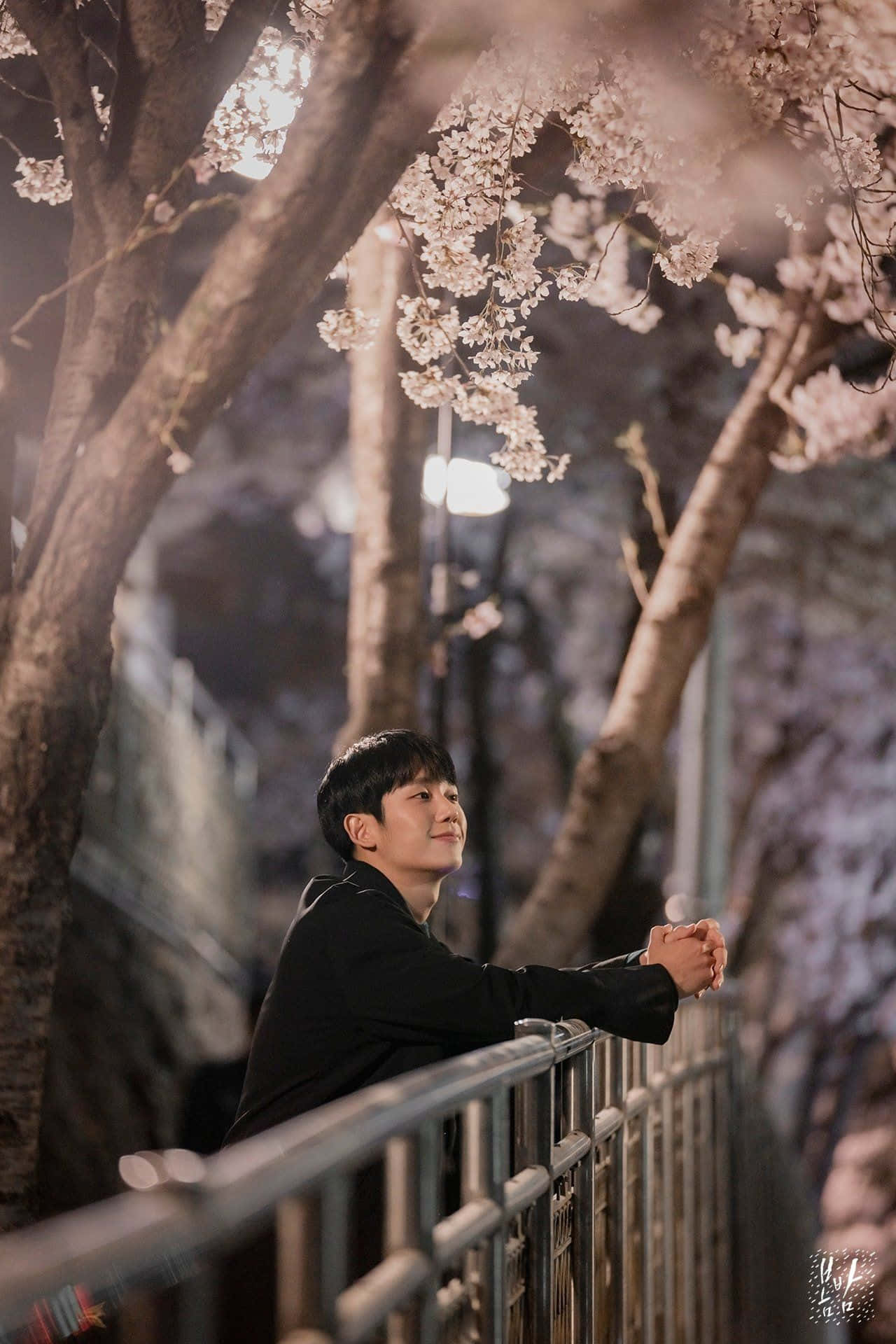 Spring Lights, cherry blossoms, black jacket, Full HD Phone Wallpaper