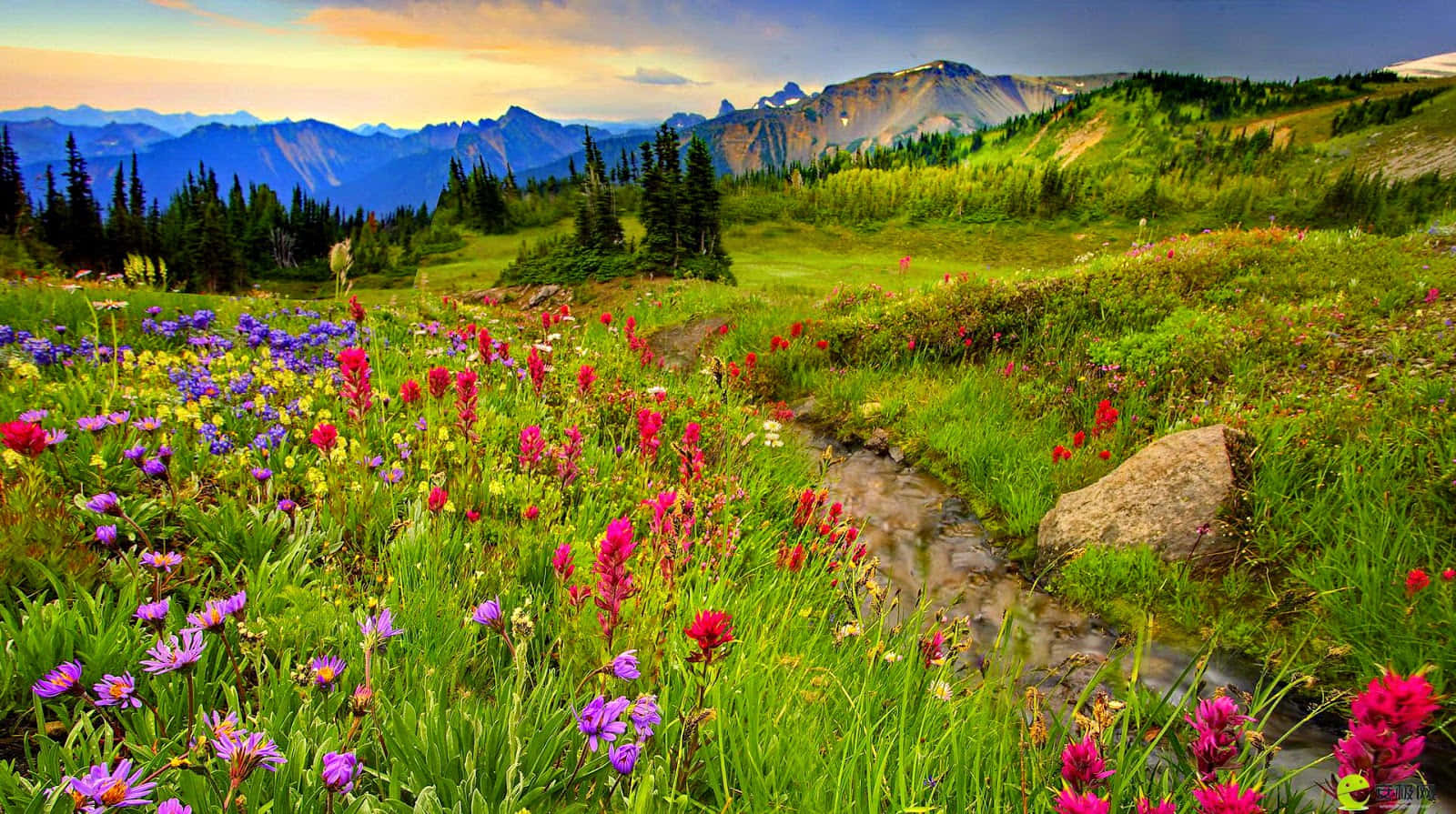 idyllic spring meadow, winding creek, lush green meadow, HD Desktop Wallpaper