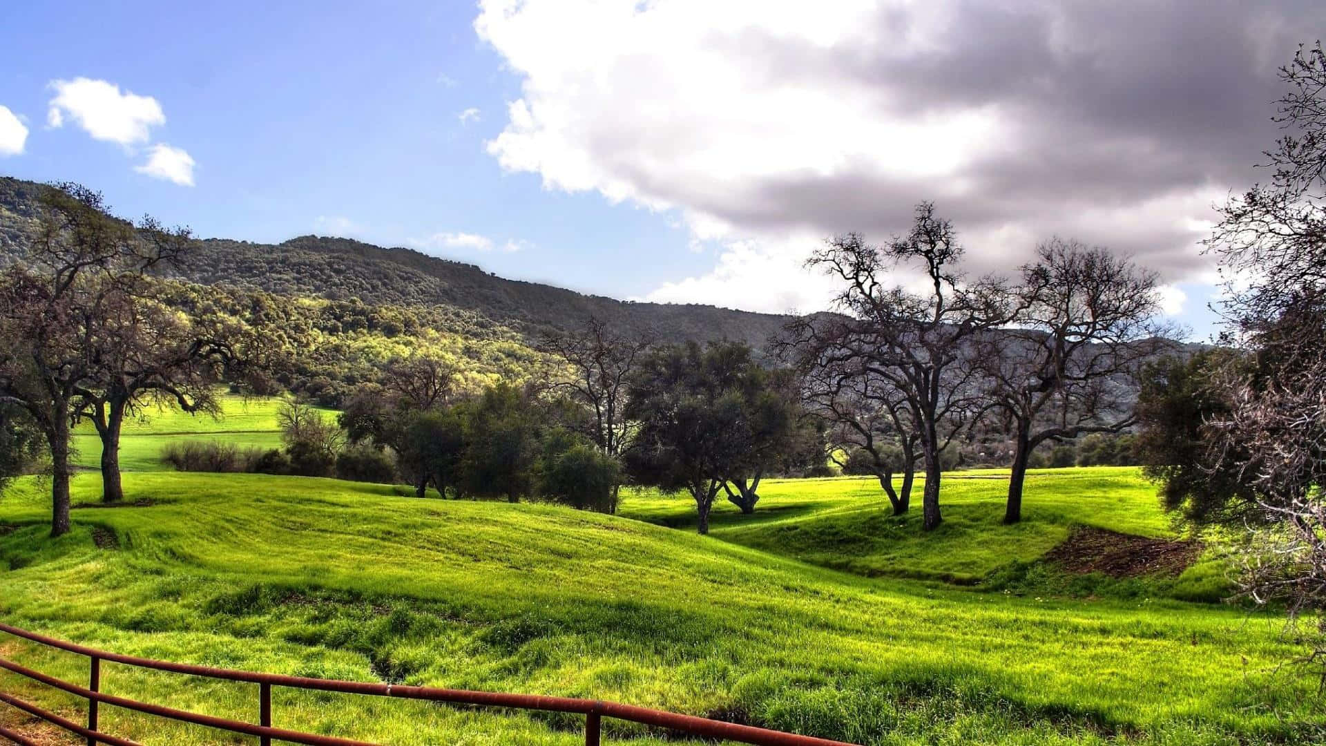 Spring Meadow, 1920 x 1080, vibrant green rolling hills, Full HD Desktop Wallpaper