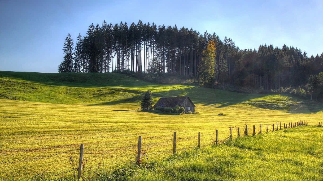 rustic cabin, sunlit golden field, fence, HD Desktop Wallpaper
