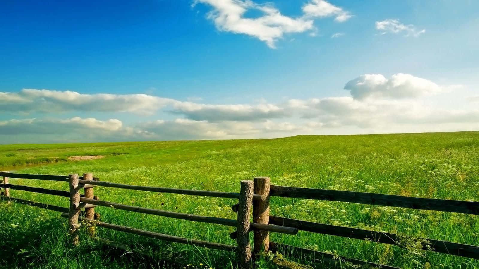 Spring Meadow, rustic wooden fence, vast sunlit green field, HD Desktop Wallpaper