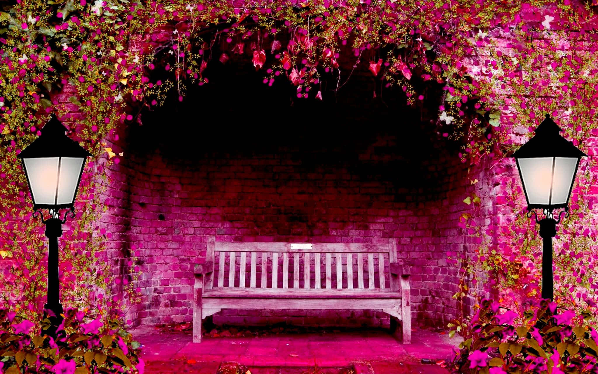 Spring Outdoors, wooden bench, vibrant pink floral archway, Full HD Desktop Wallpaper