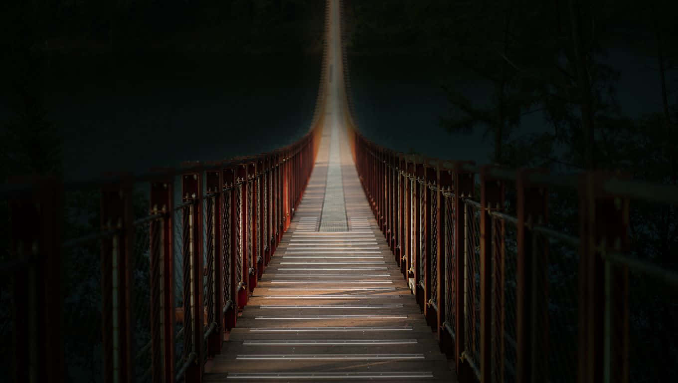 narrow wooden suspension bridge, glowing path, trees, HD Desktop Wallpaper
