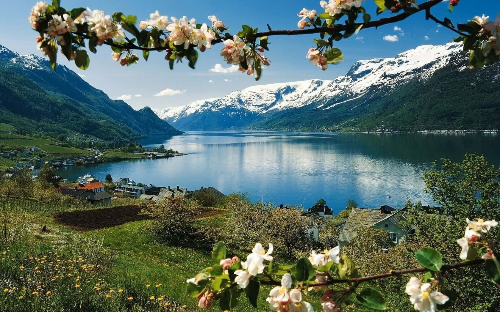 Spring Mountain, cherry blossoms, fjord, HD Desktop Wallpaper
