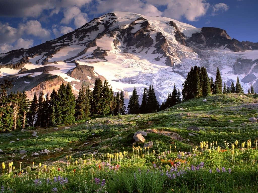 Spring Mountain, snow-capped mountain, meadow, SD Desktop Wallpaper