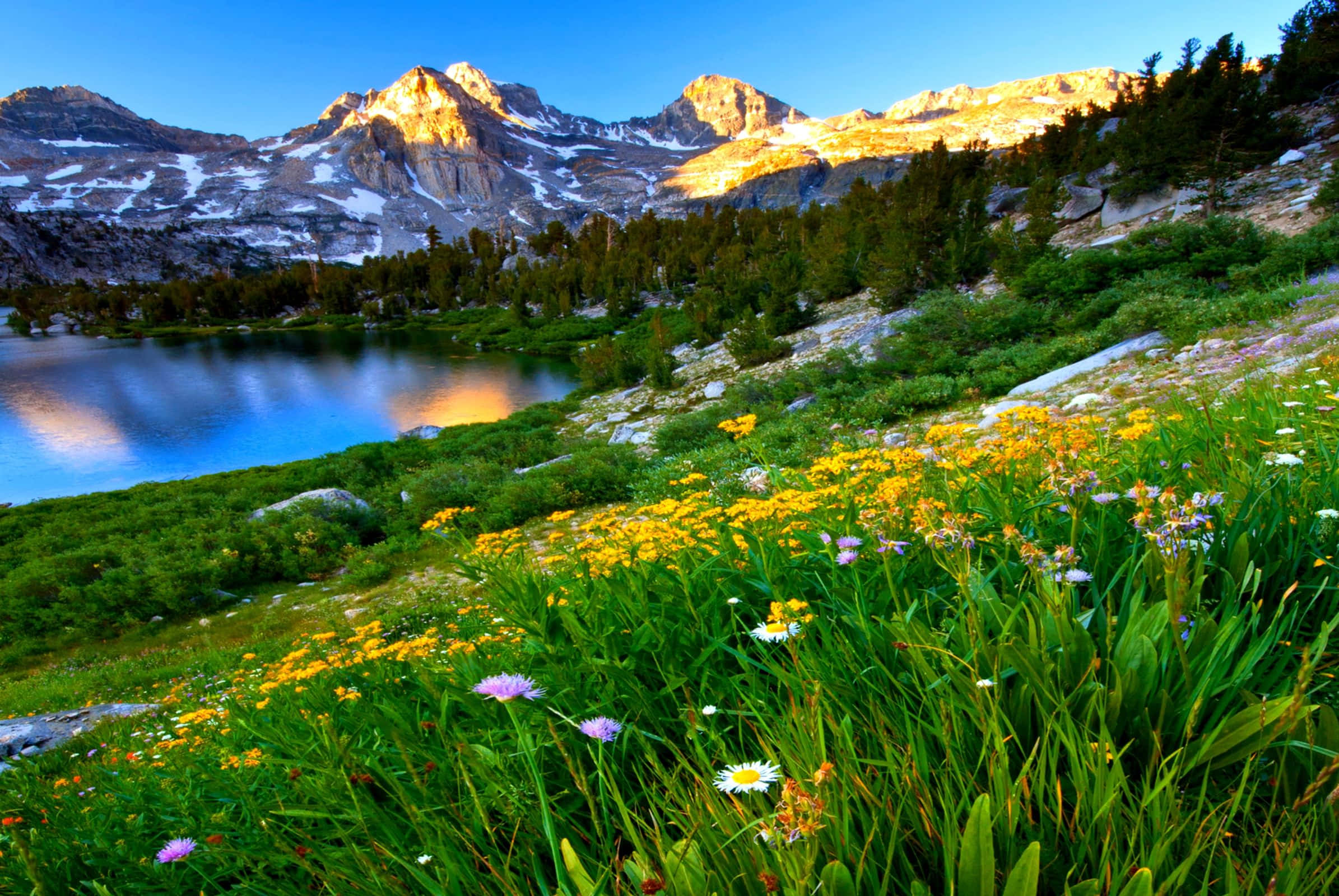 Spring Mountain, alpine lake, golden mountains, Full HD Desktop Wallpaper