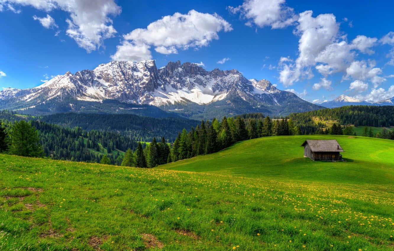 Spring Mountain, wooden cabin, sunlit green meadow, HD Desktop Wallpaper