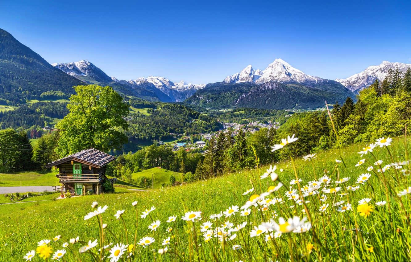 Spring Mountain, rustic wooden cabin, sunlit meadow, HD Desktop Wallpaper