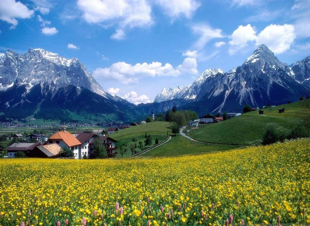 Spring Mountain, yellow wildflowers, quaint village, SD Desktop Wallpaper