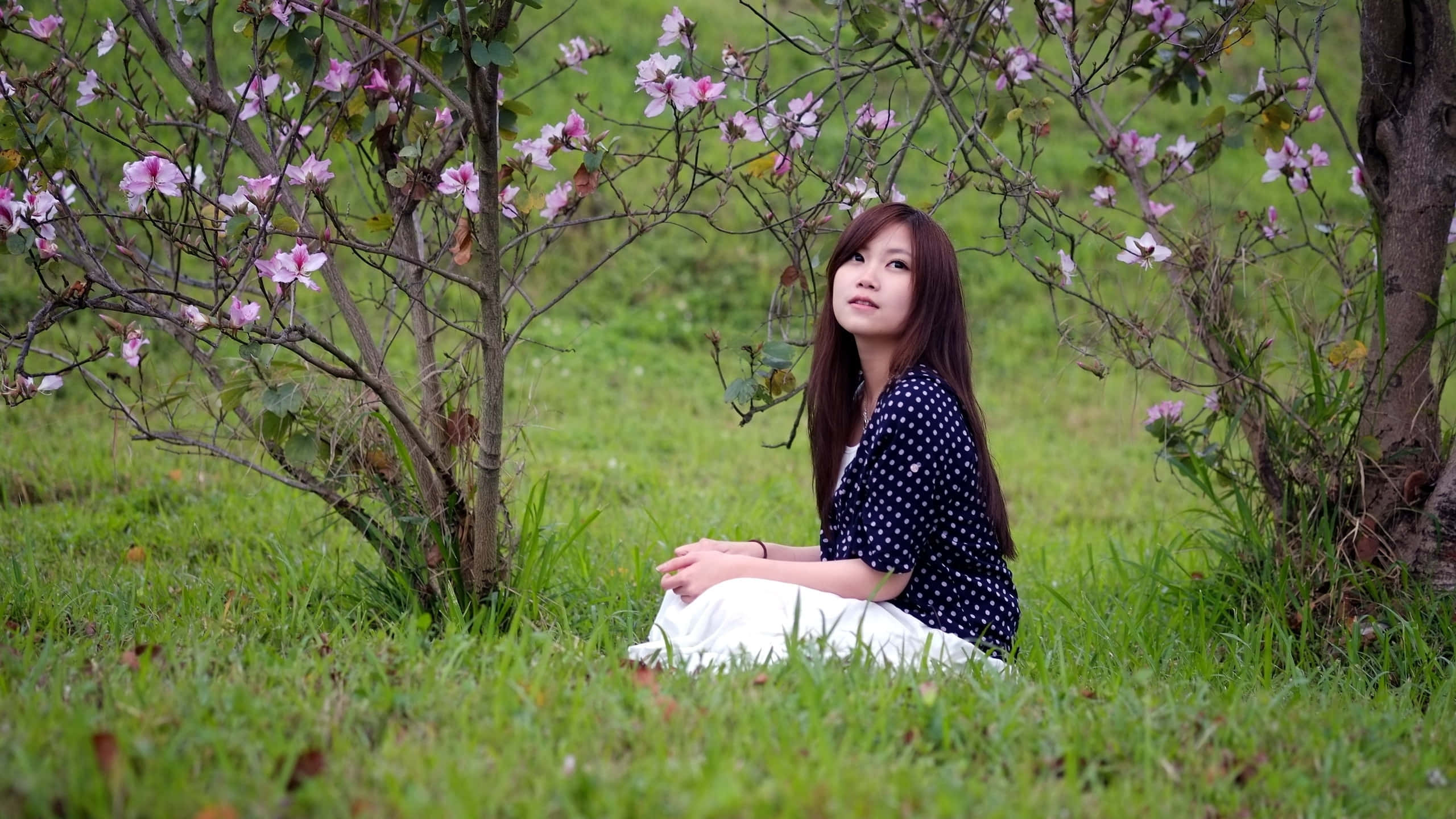 Vibrant Spring Nature Walk, young woman, grassy field, 2K Desktop Wallpaper