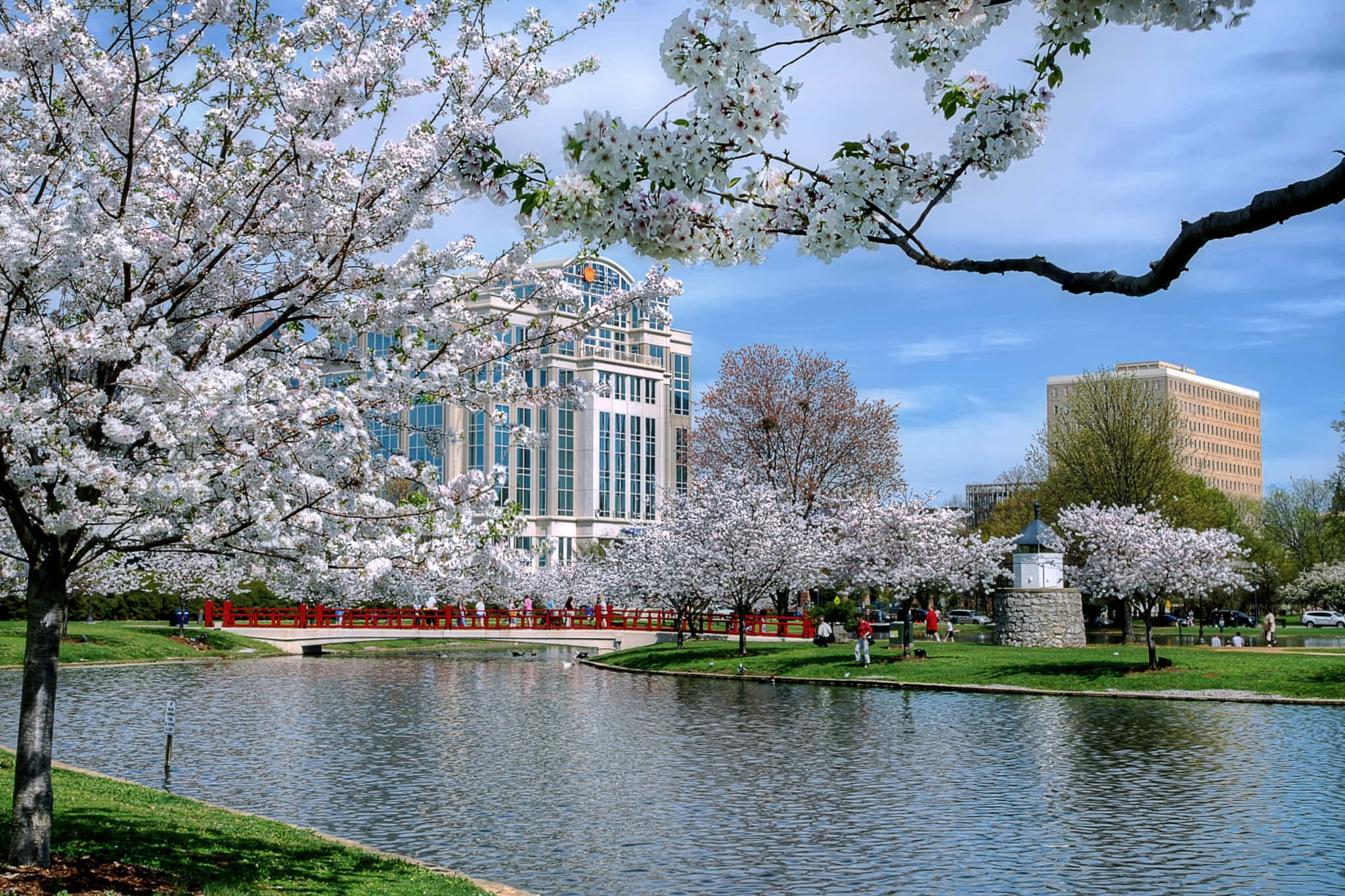 Spring Park, cherry trees, pond, Full HD Desktop Wallpaper