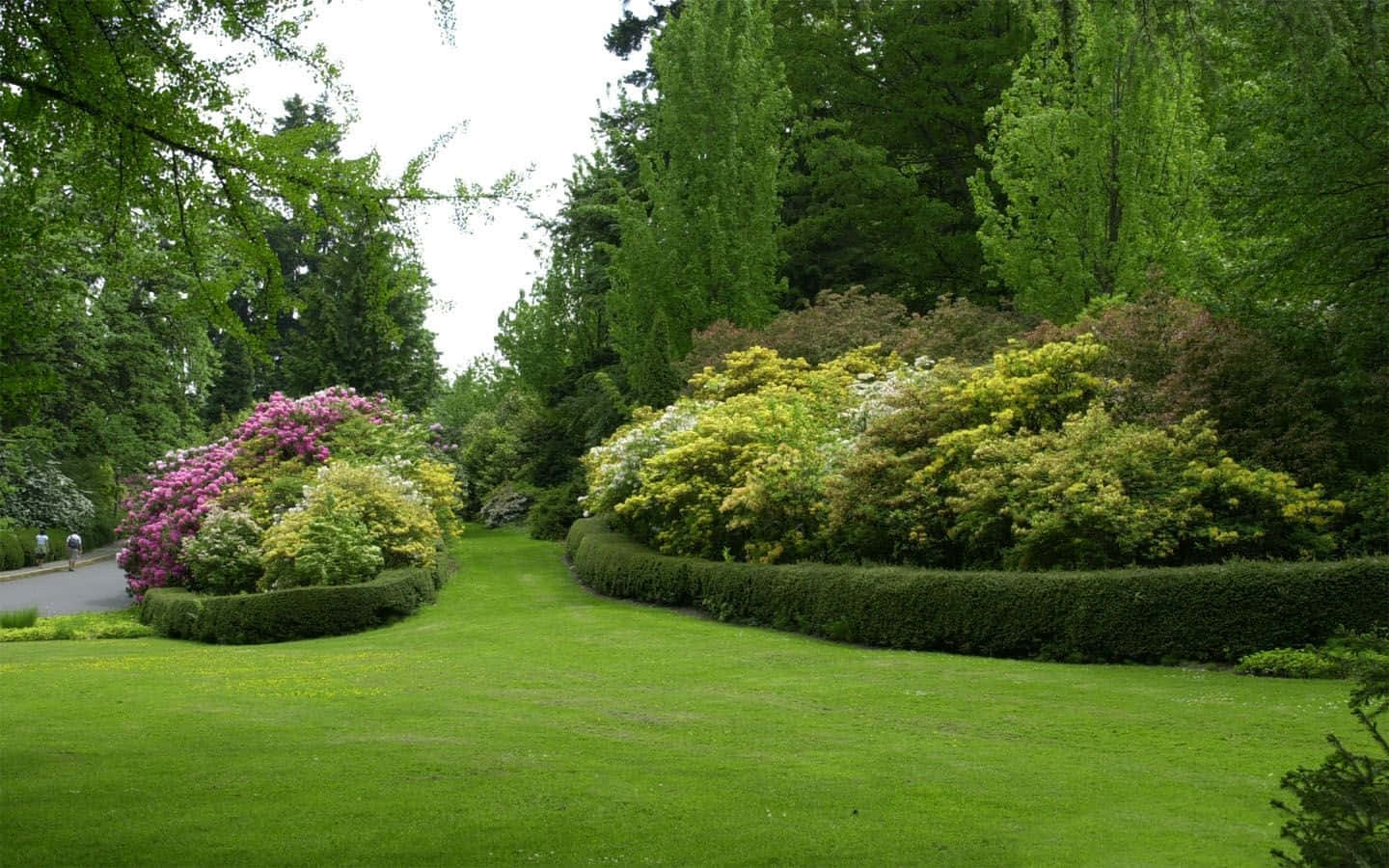 Spring Park, 1440 x 900, garden path, HD Desktop Wallpaper
